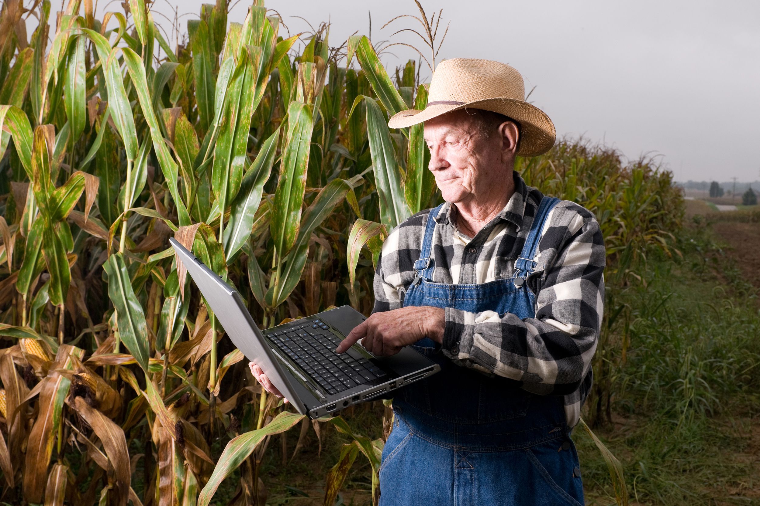 corn farmer on laptop