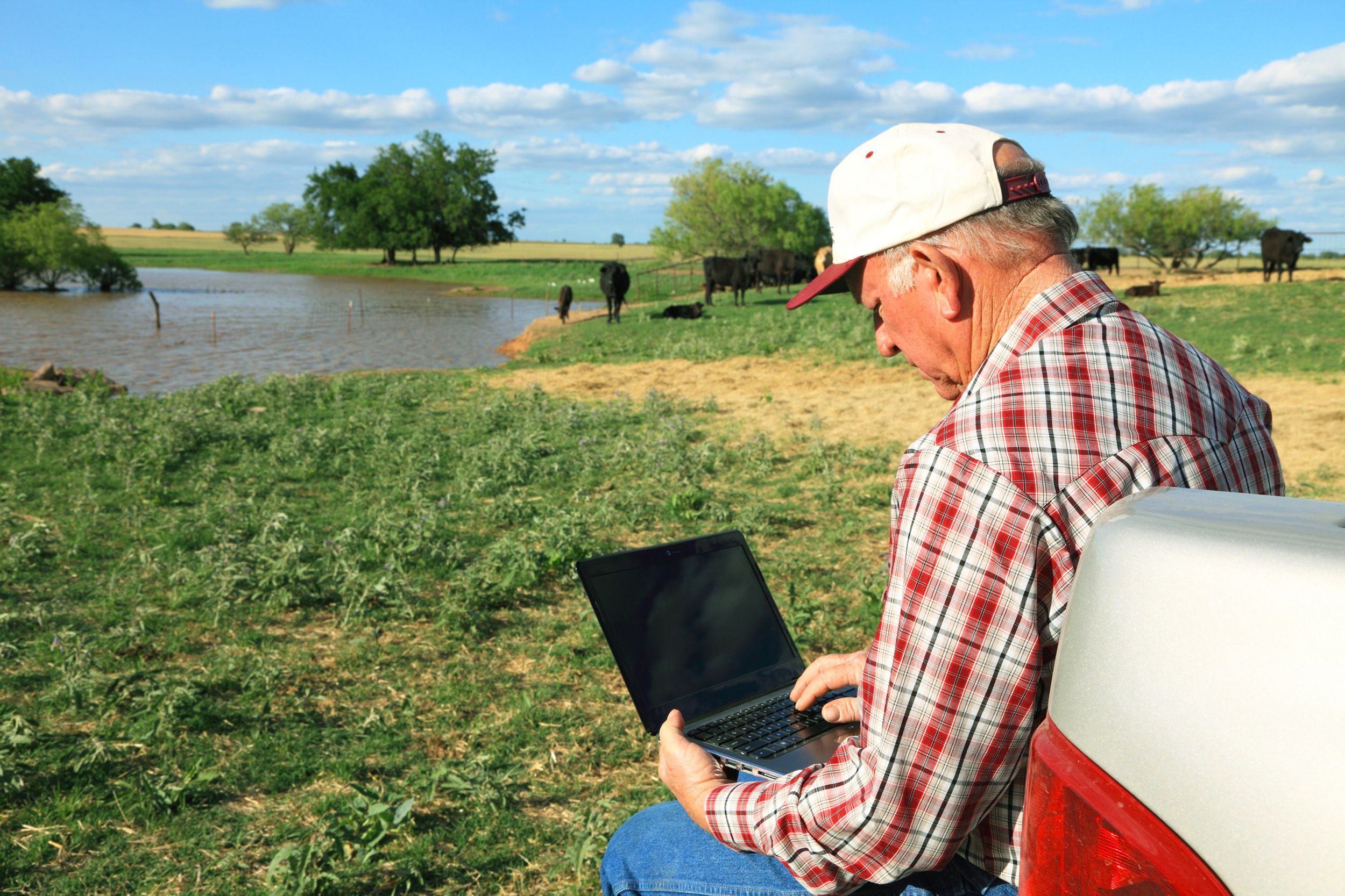 rancher in field on laptop in Oklahoma