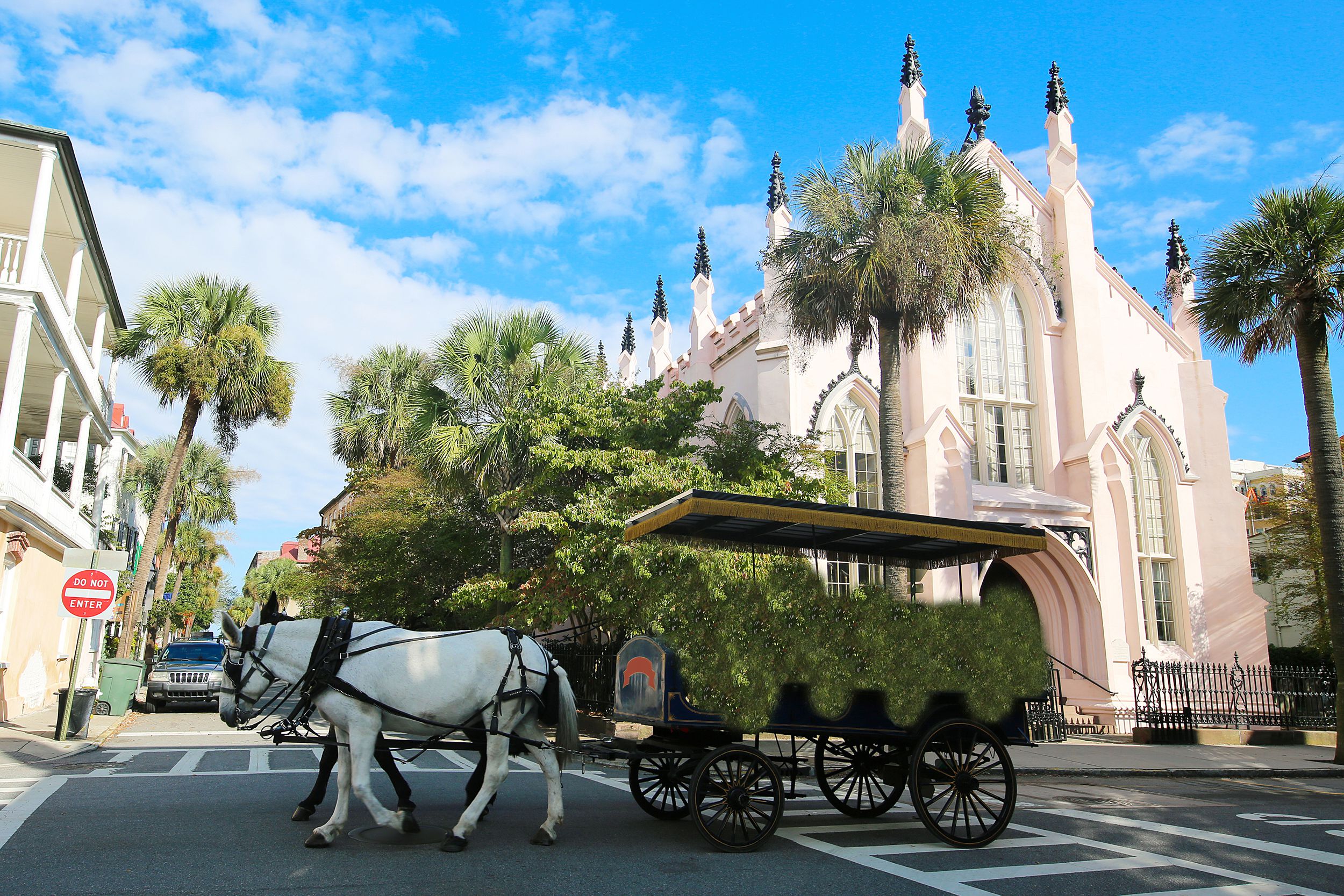 horse carriage in Charleston, South Carolina