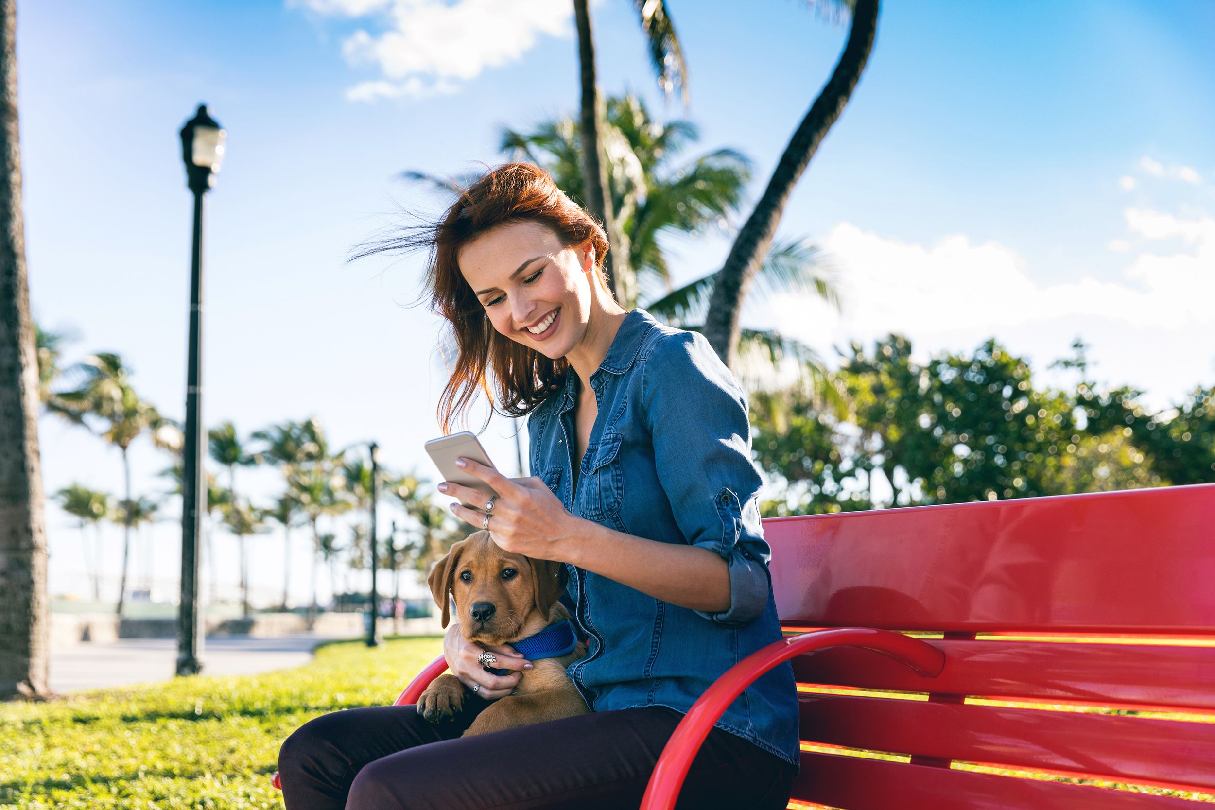 woman on phone with puppy at the park in Miami beach