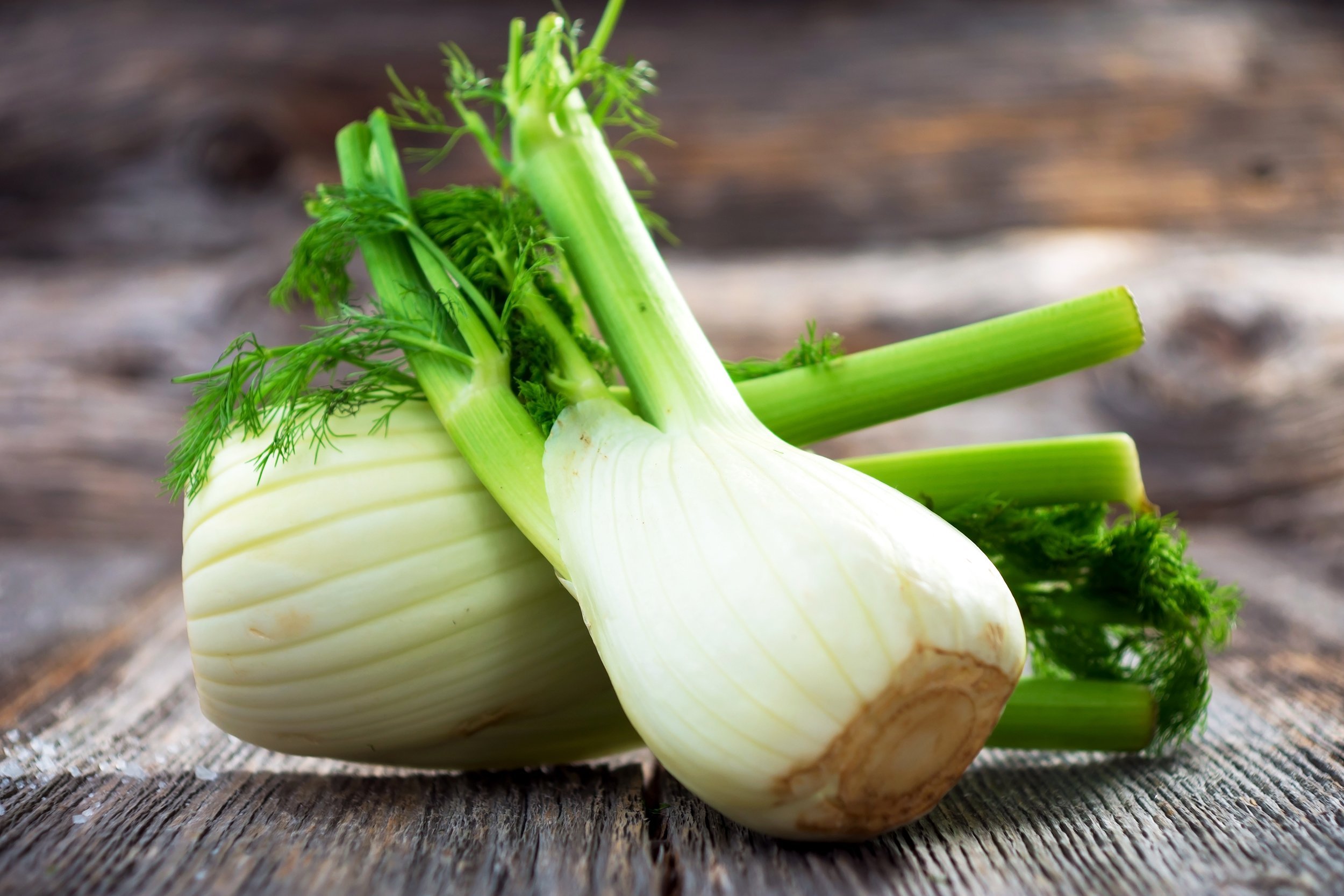 fennel