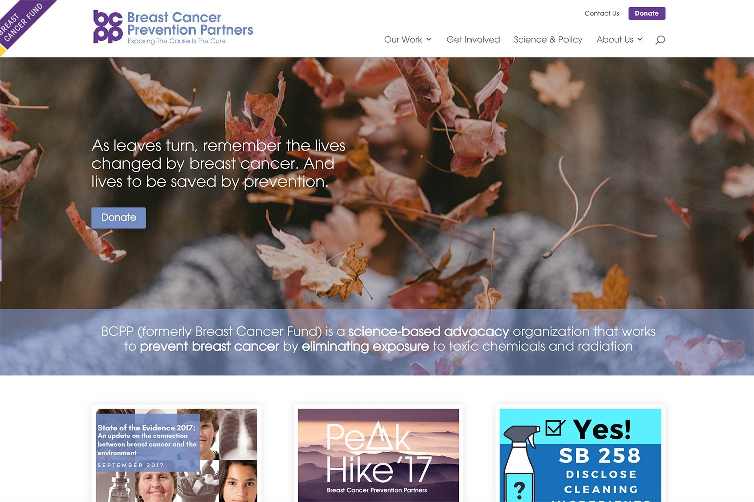 Breast Cancer Prevention Partners Website