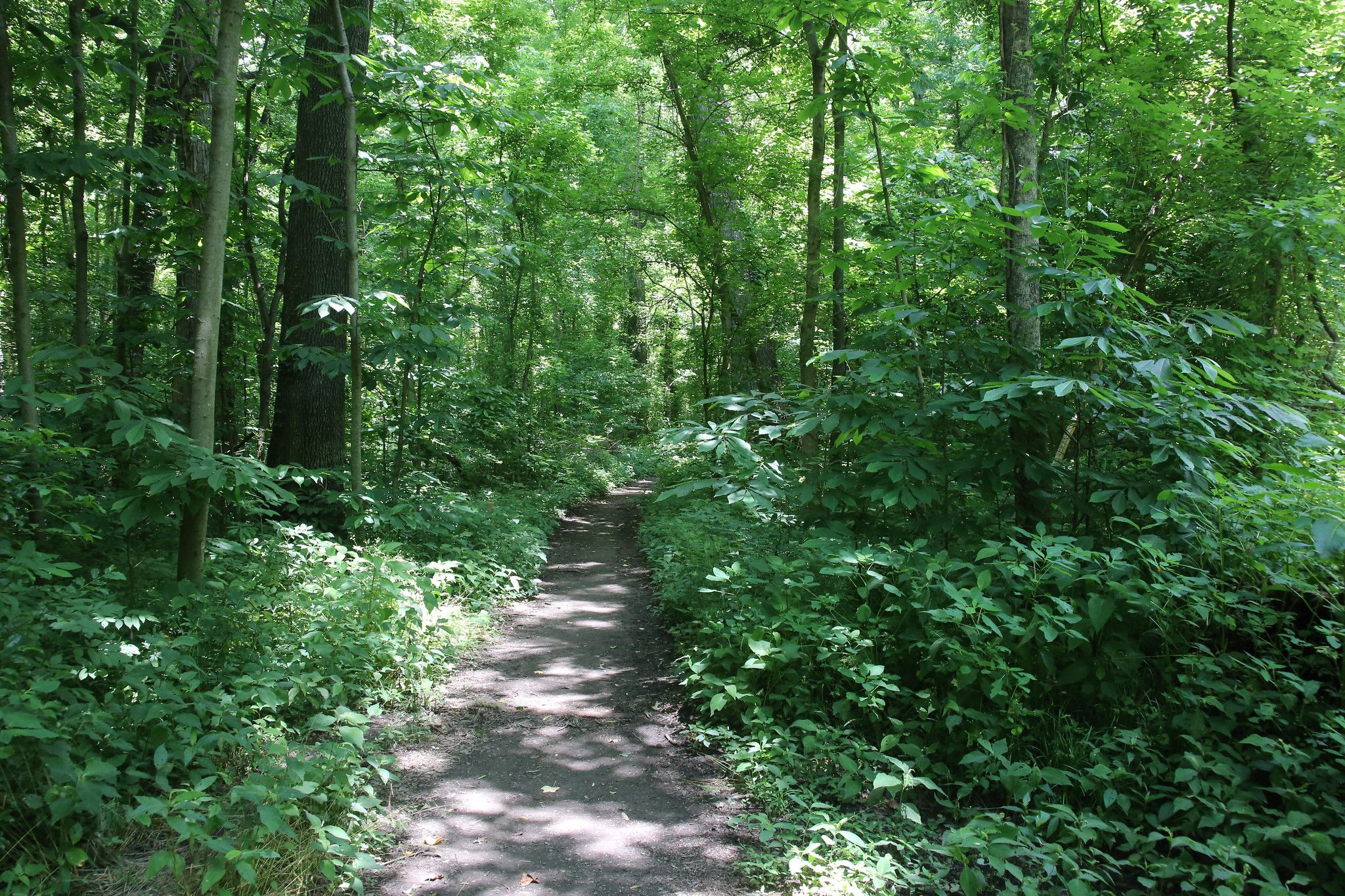 Overton Park, Memphis