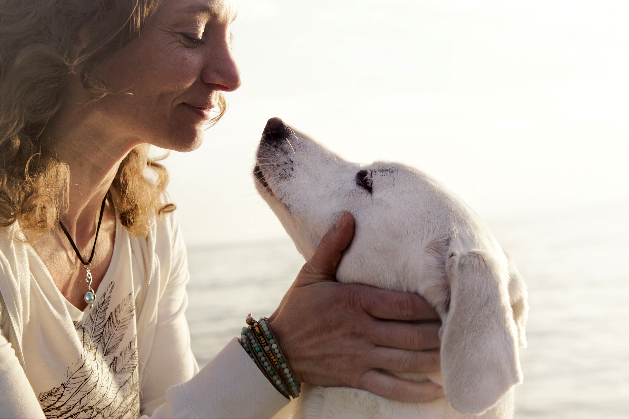 Dog Psychologist