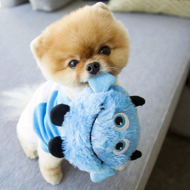 Jiffpom