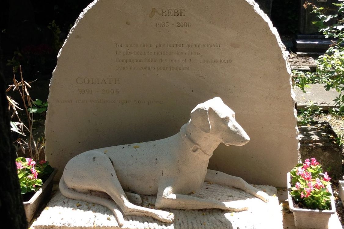 Le Cimetière Des Chiens