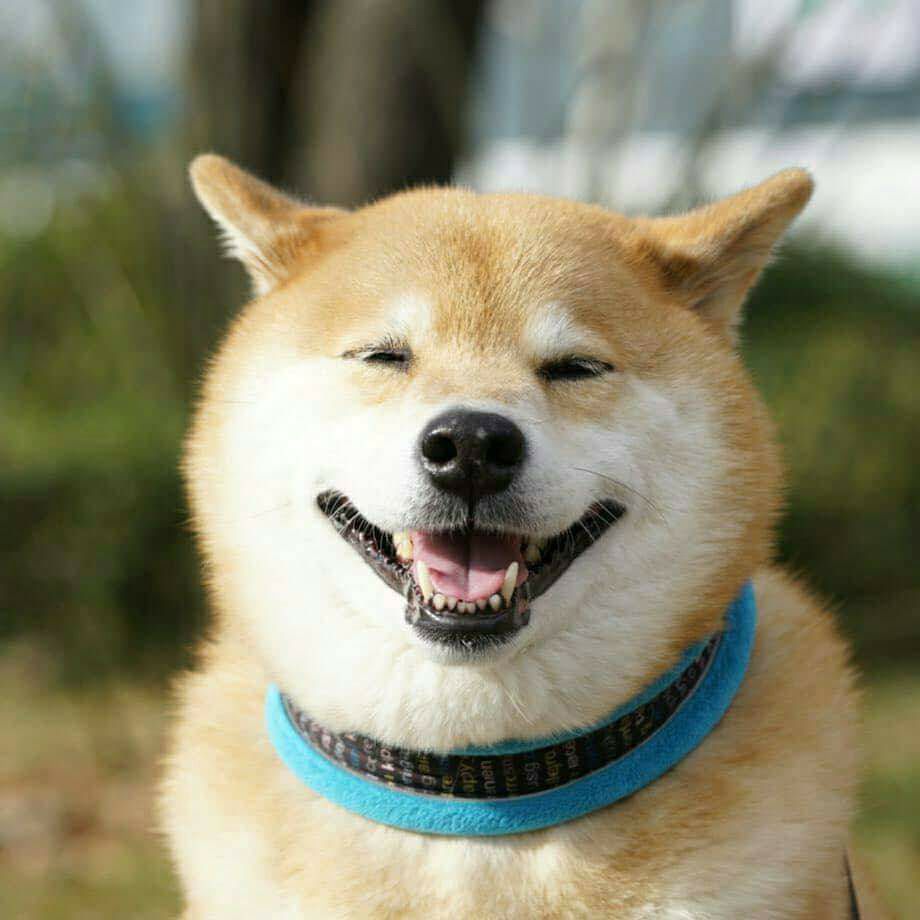 Maru
