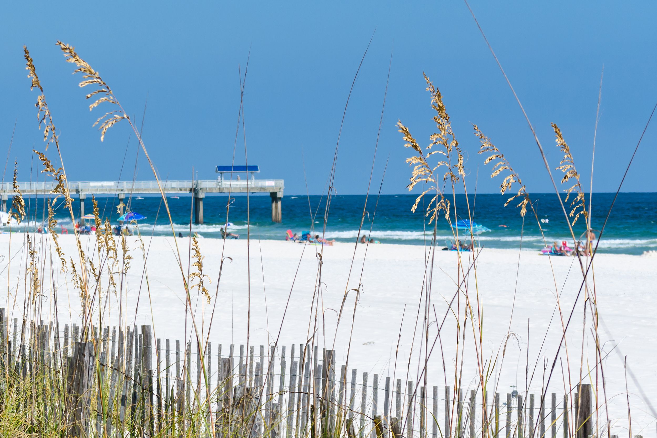 Orange Beach, Alabama as seen through beach grass along the wooden fence, on a sunny day with few people on the beach