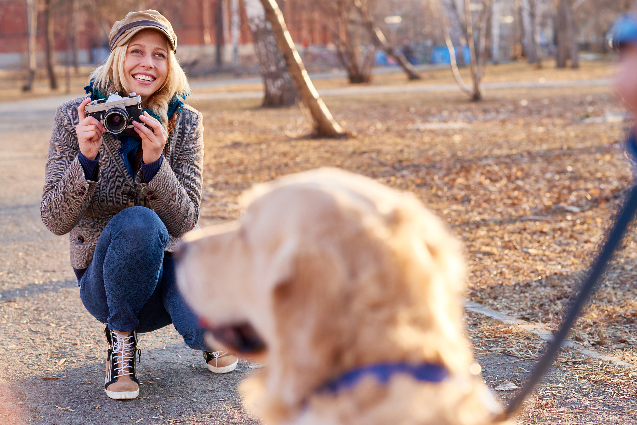 Pet Photographer
