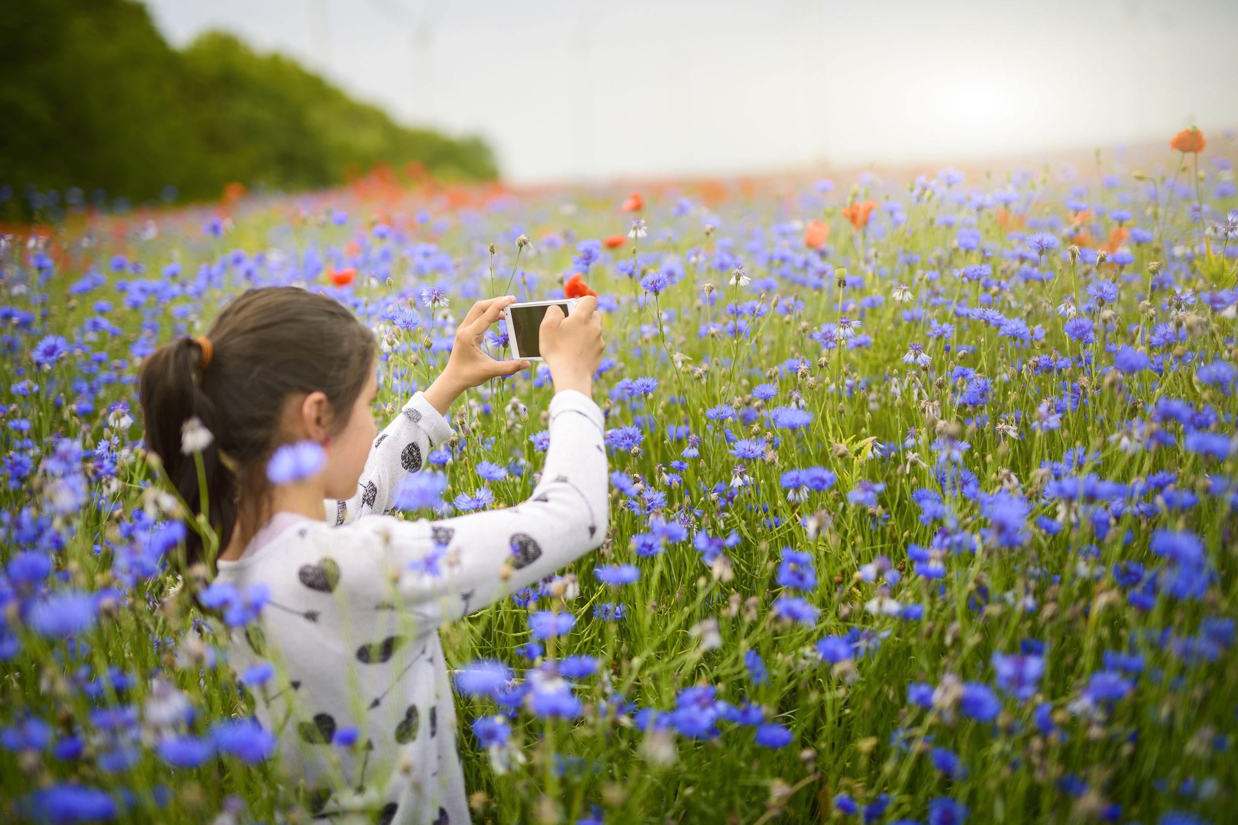 Young girl taking photos of wildflowers with her phone