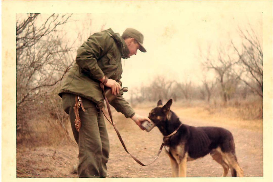 Rin Tin Tin