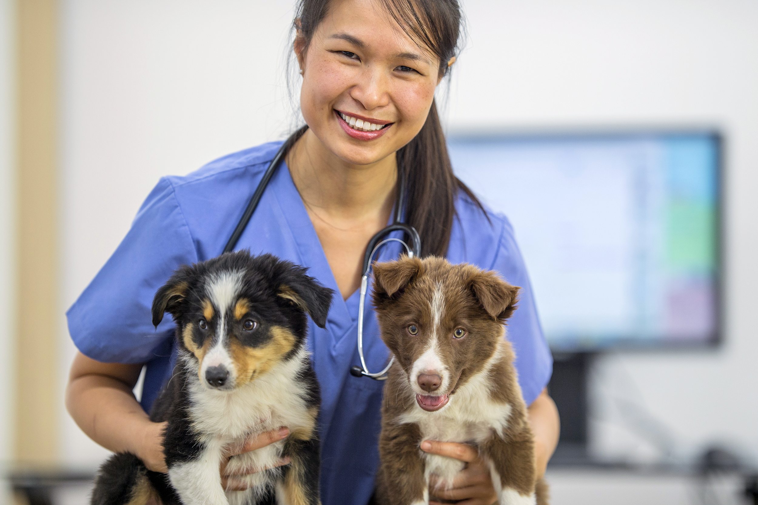 Vet Technician