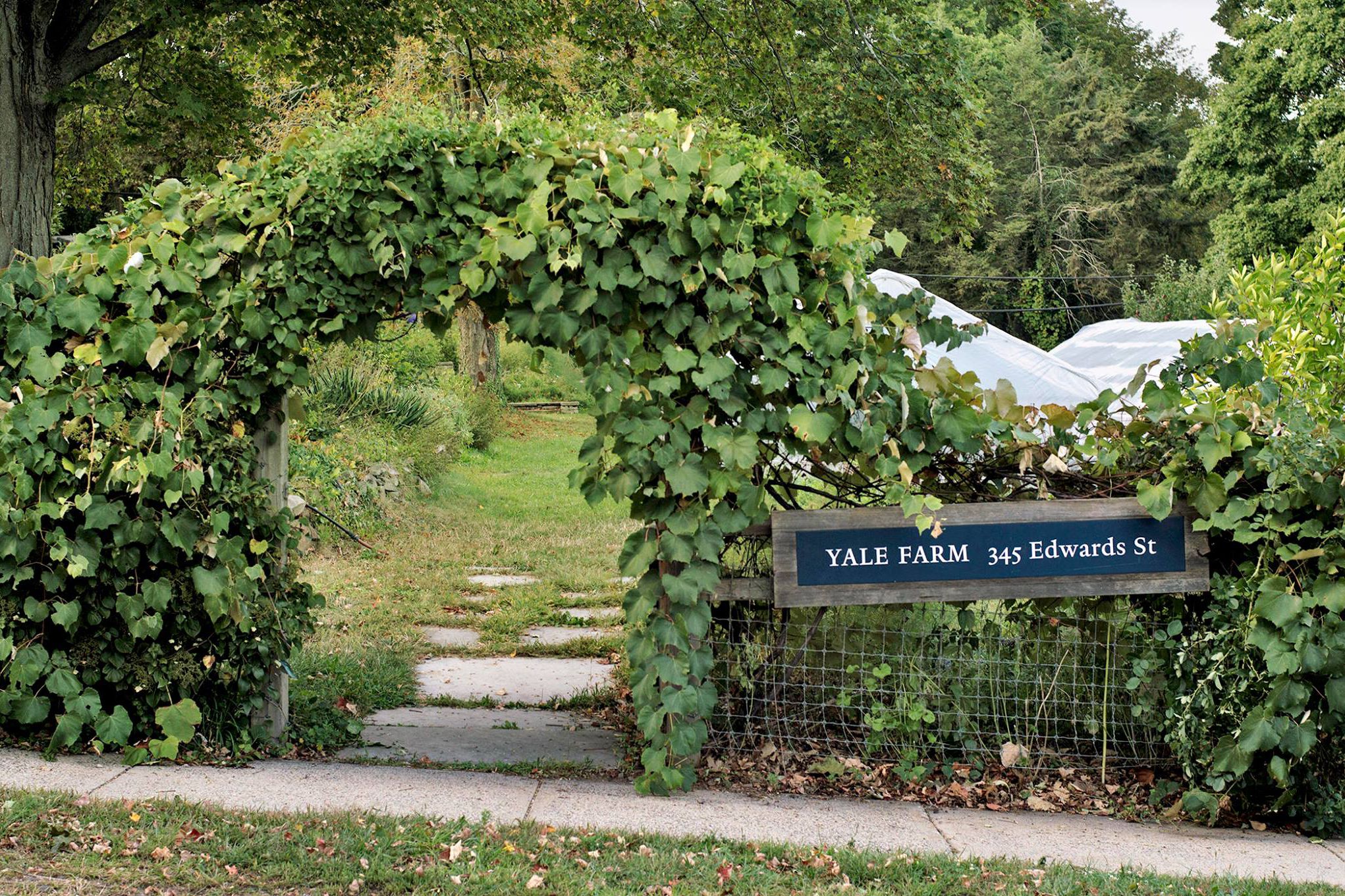 Yale Farm