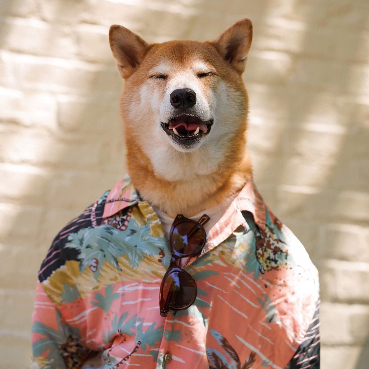 Bodhi