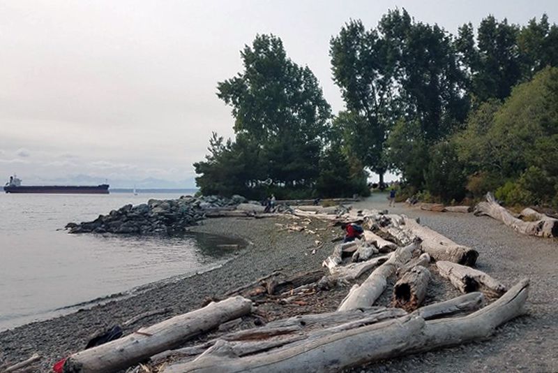 Elliott Bay Trail in Seattle, Washington