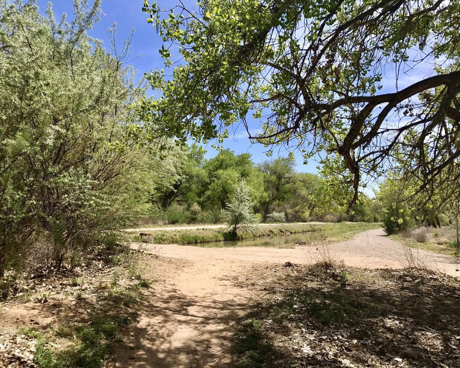 Paseo Del Bosque in Albuquerque, New Mexico