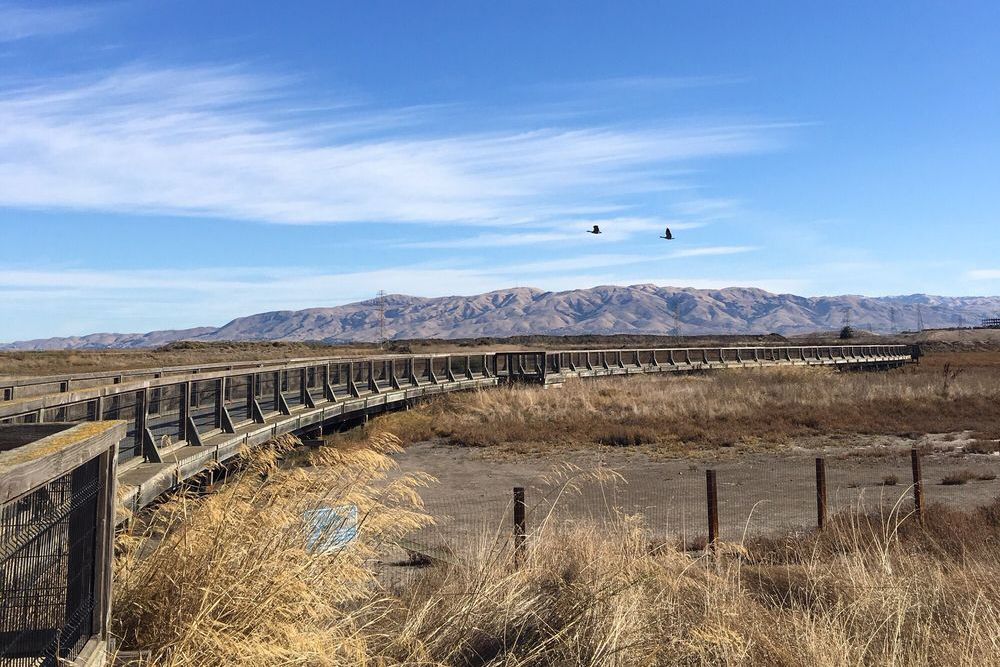 Baylands Park in San Jose, California