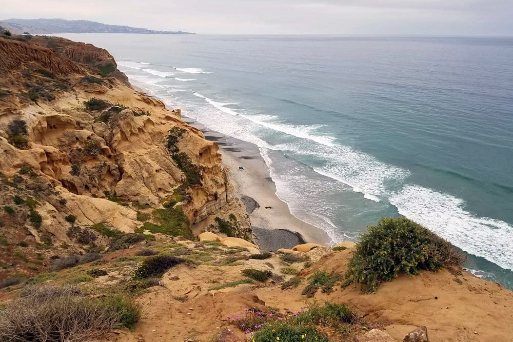 Torrey Pines State Natural Reserve in San Diego