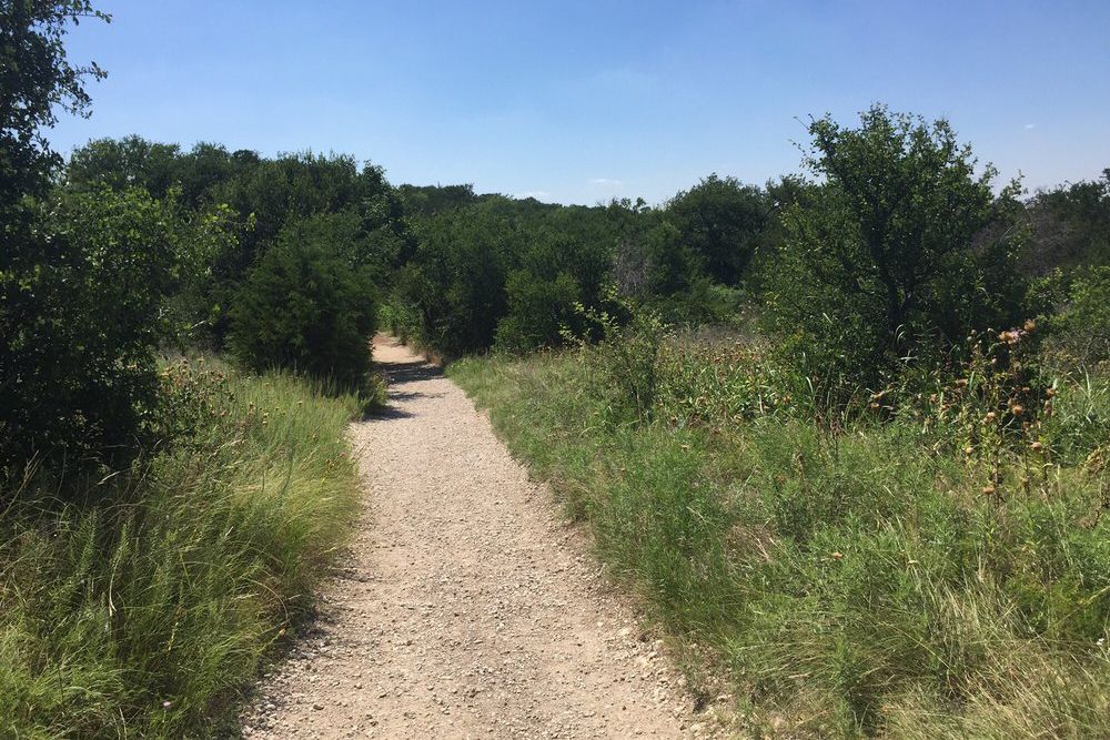 Cedar Ridge Preserve in Dallas