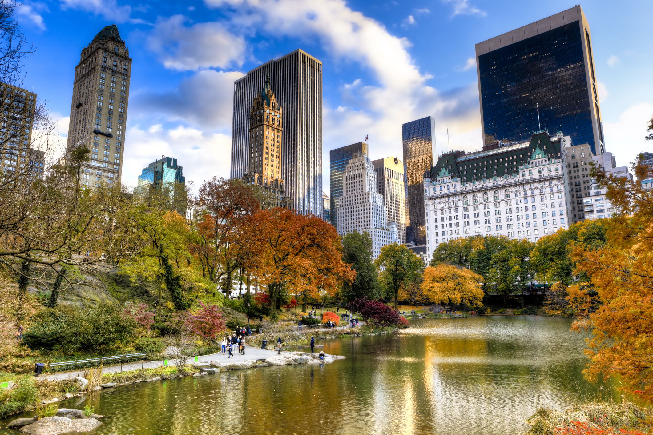 pond in central park surrounded by fall foliage and buildings