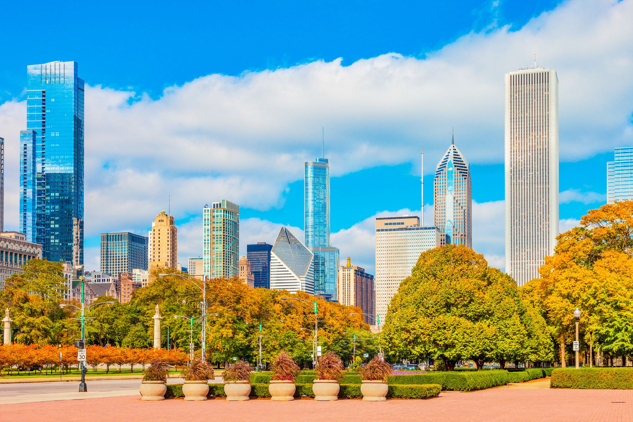 chicago skyline with fall foliage