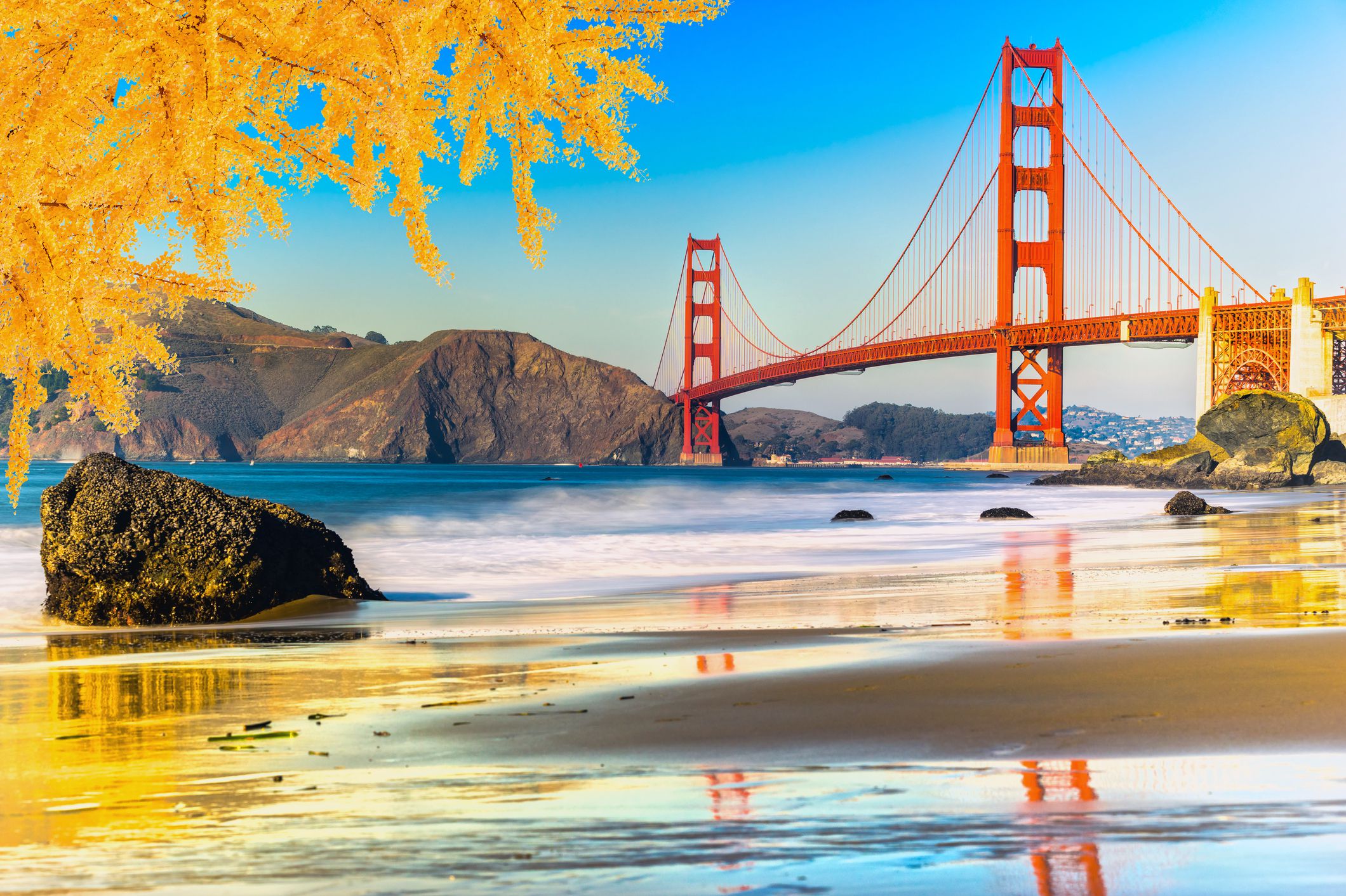 san francisco bridge with fall foliage