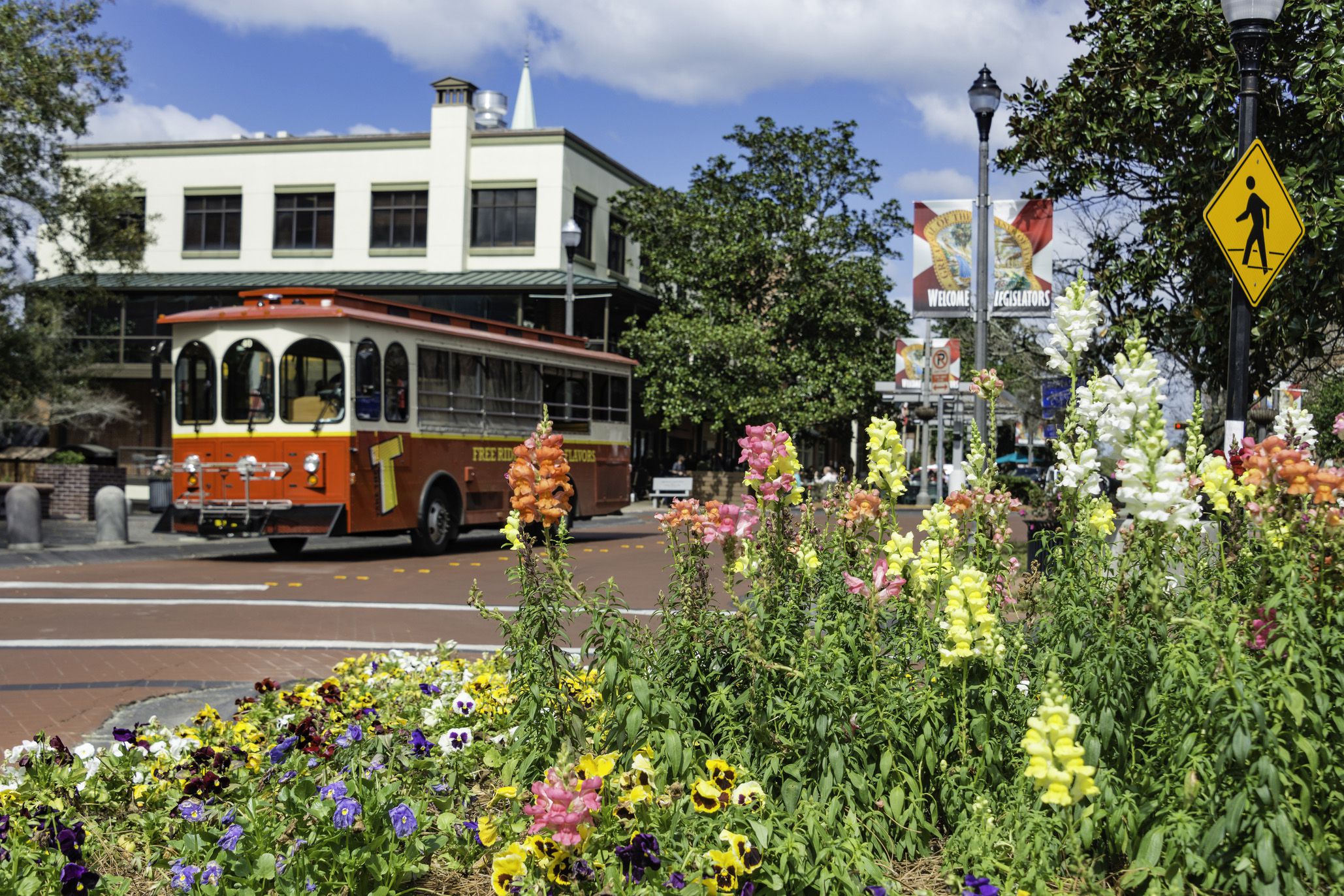 trolley in downtown tallahassee