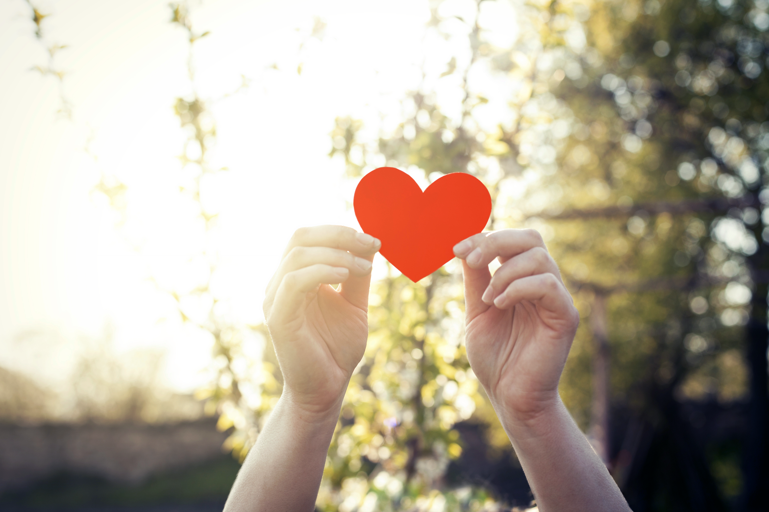 Hands holding a heart up to the sky