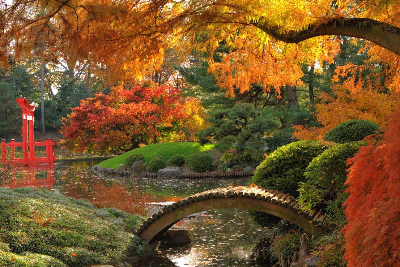 Brooklyn Botanical Garden