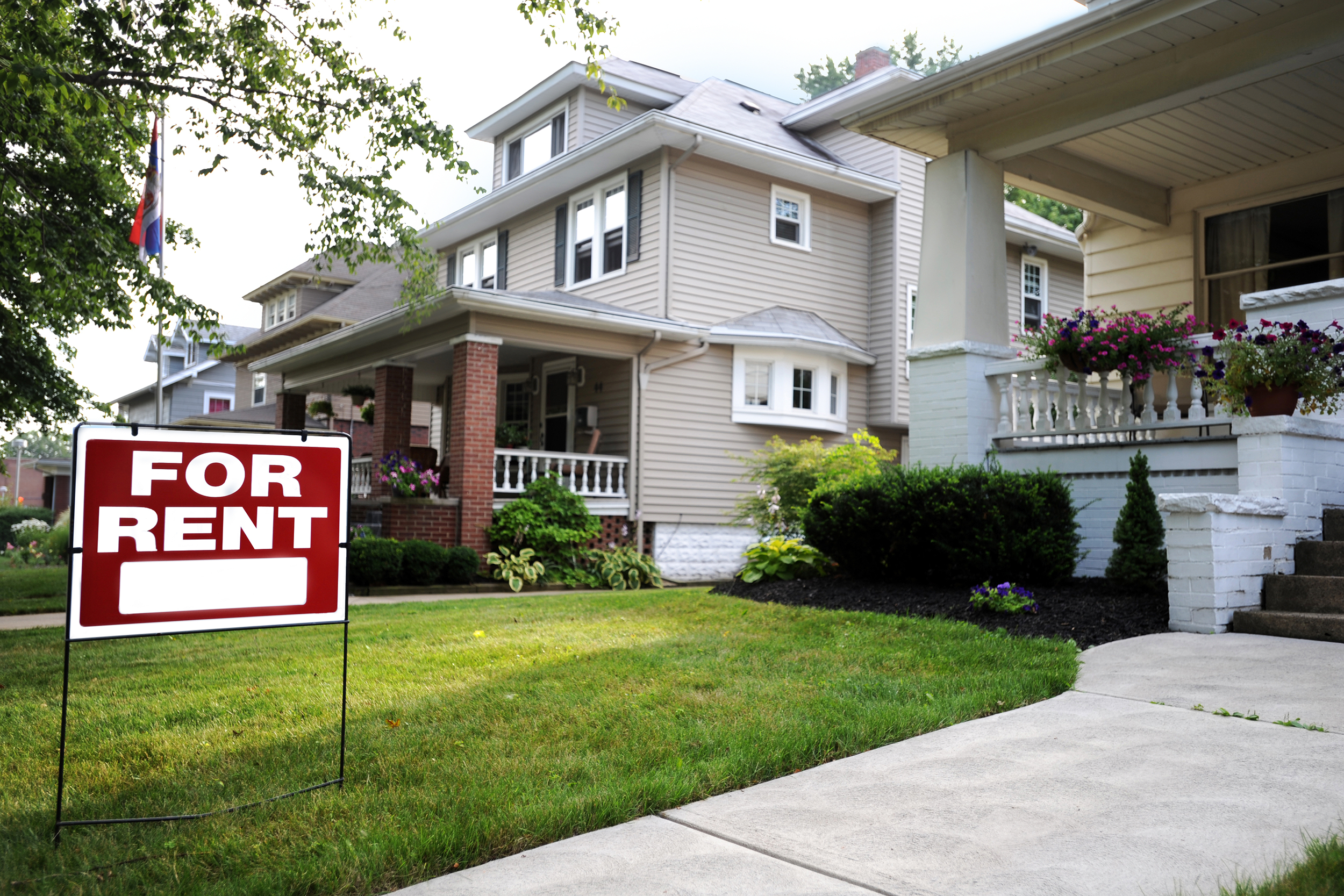 House for rent