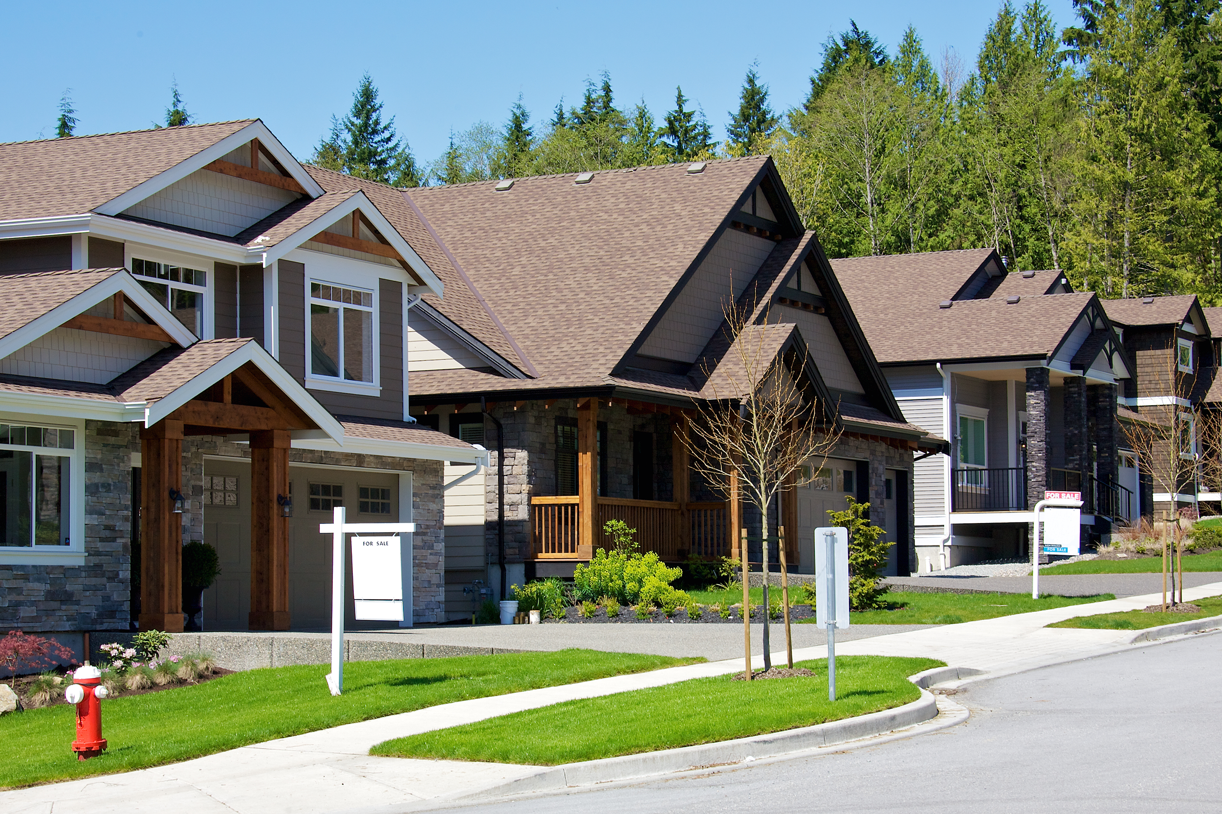 Houses on a street in a neighborhood