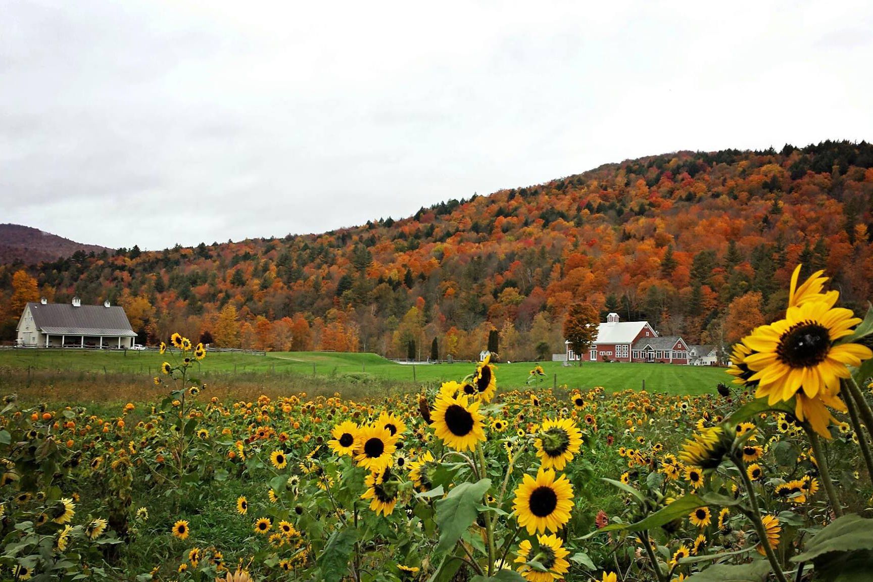 Riverside Farm in Pittsfield, VT