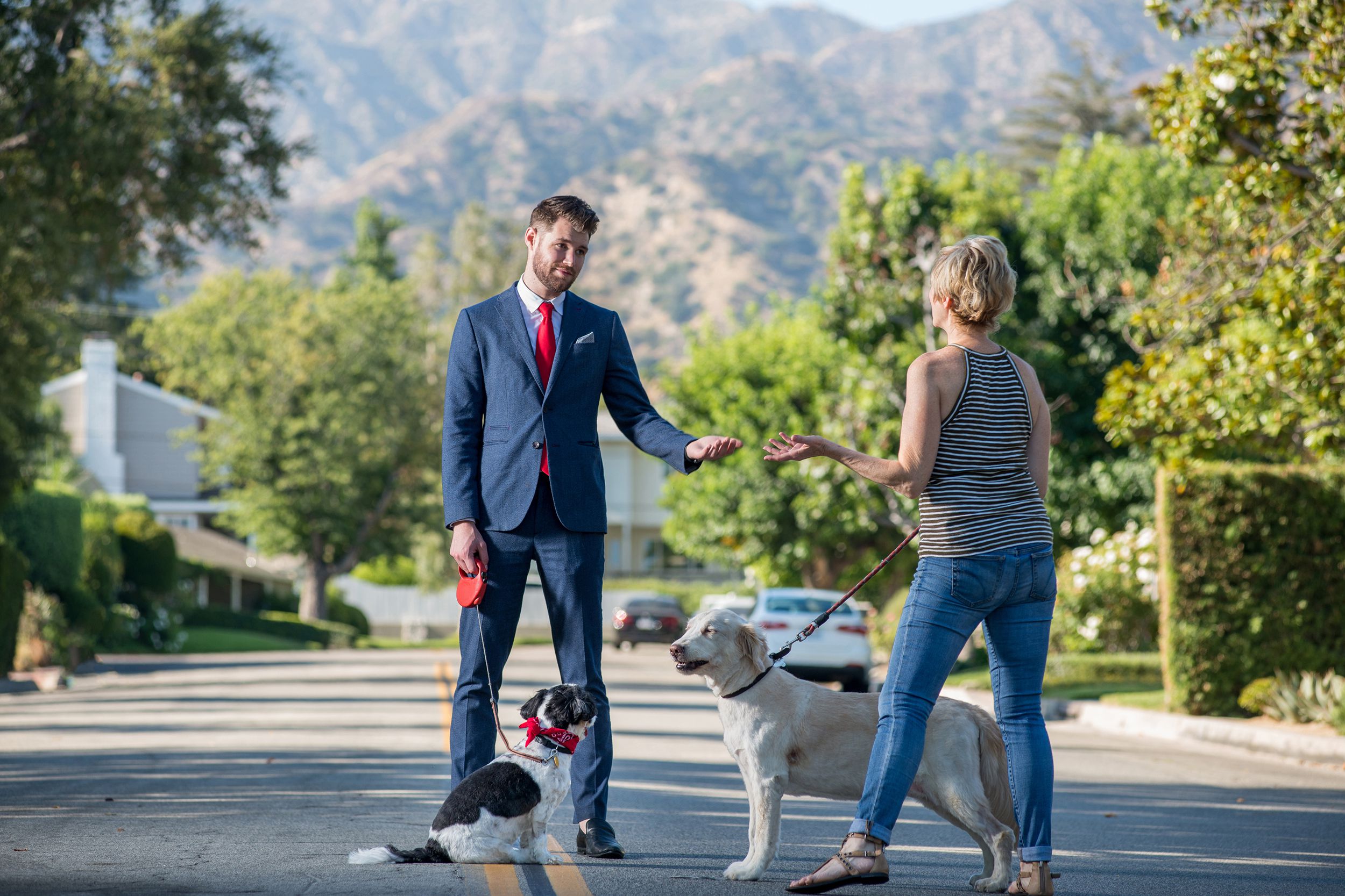 business man walking dog while talking with neighbor woman walking dog in the street