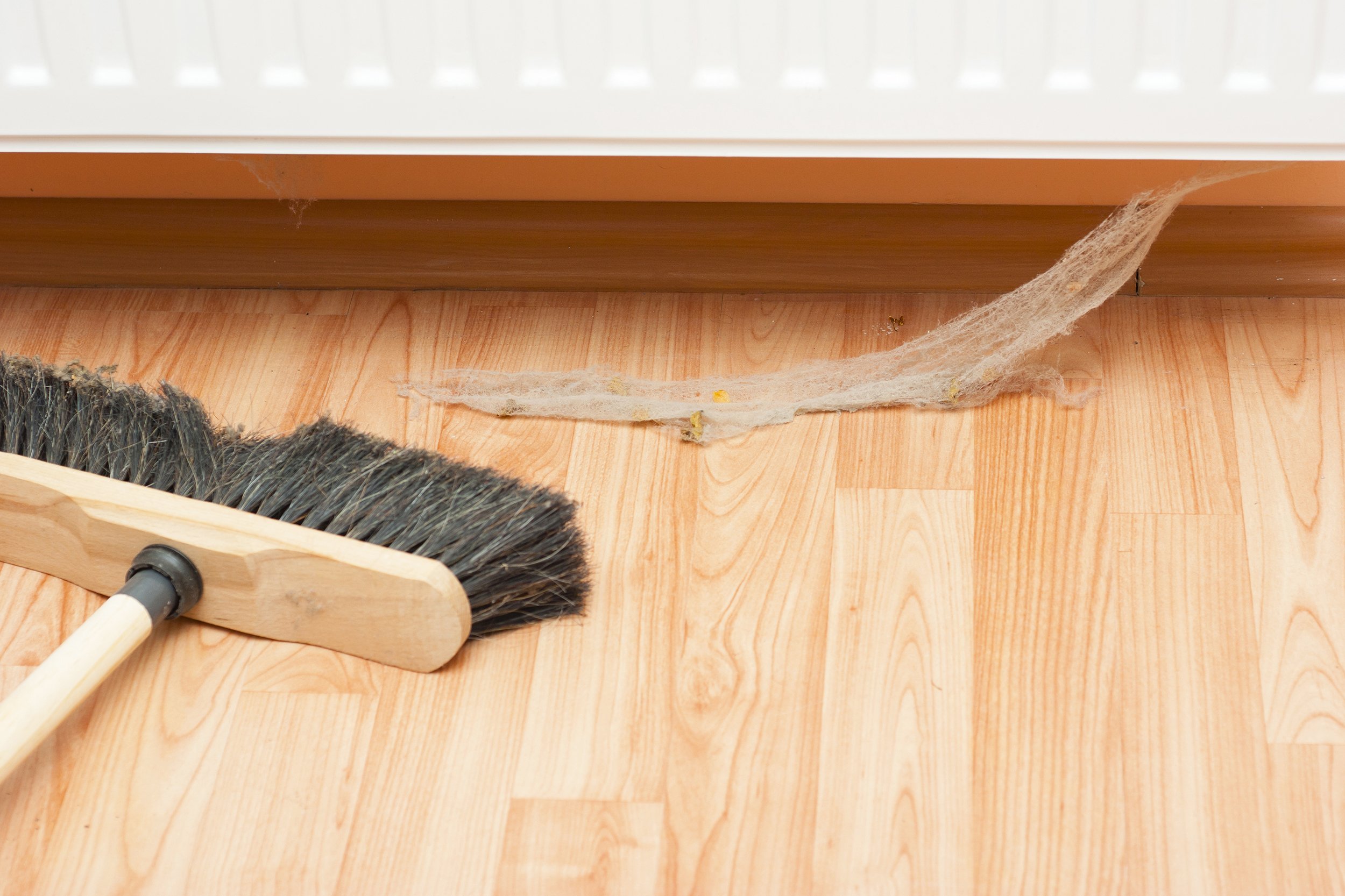broom with dirty spider web at house cleaning