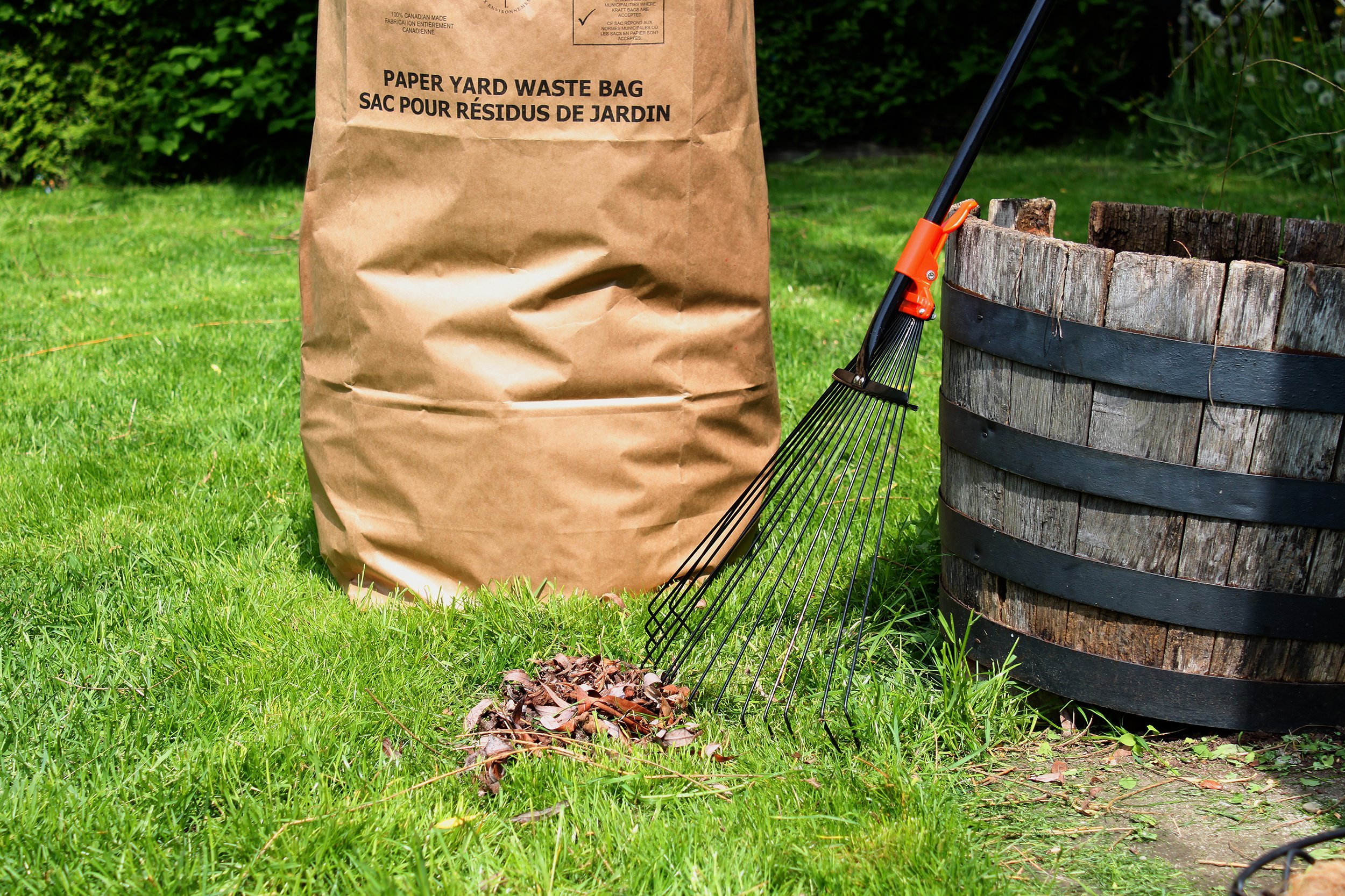 freshly raked backyard, with rake, leaves and recycling yard waste paper bag