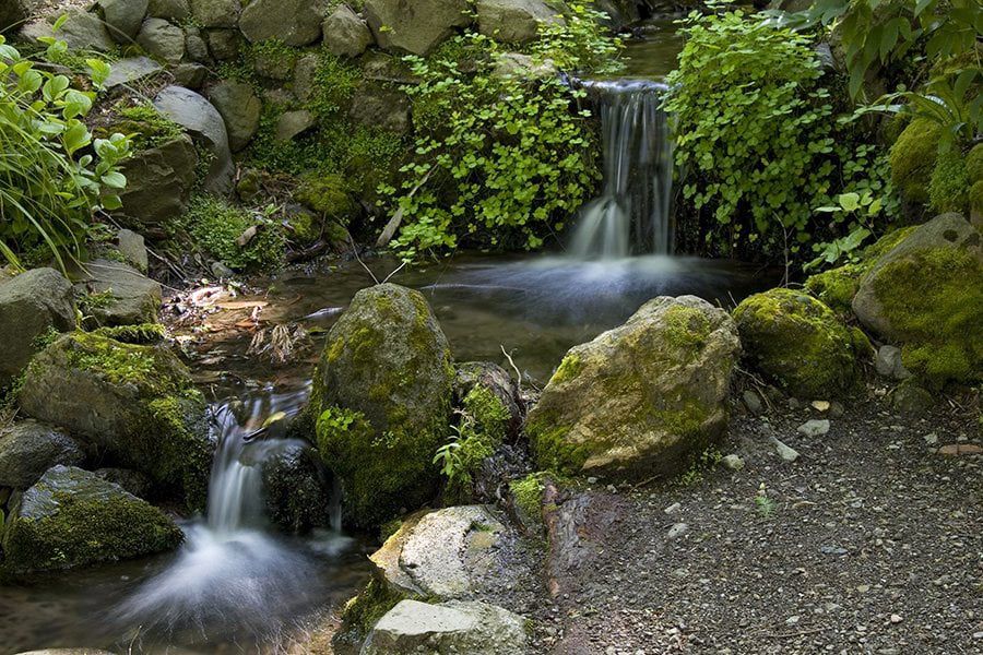 Tilden Nature Area in Berkeley, California