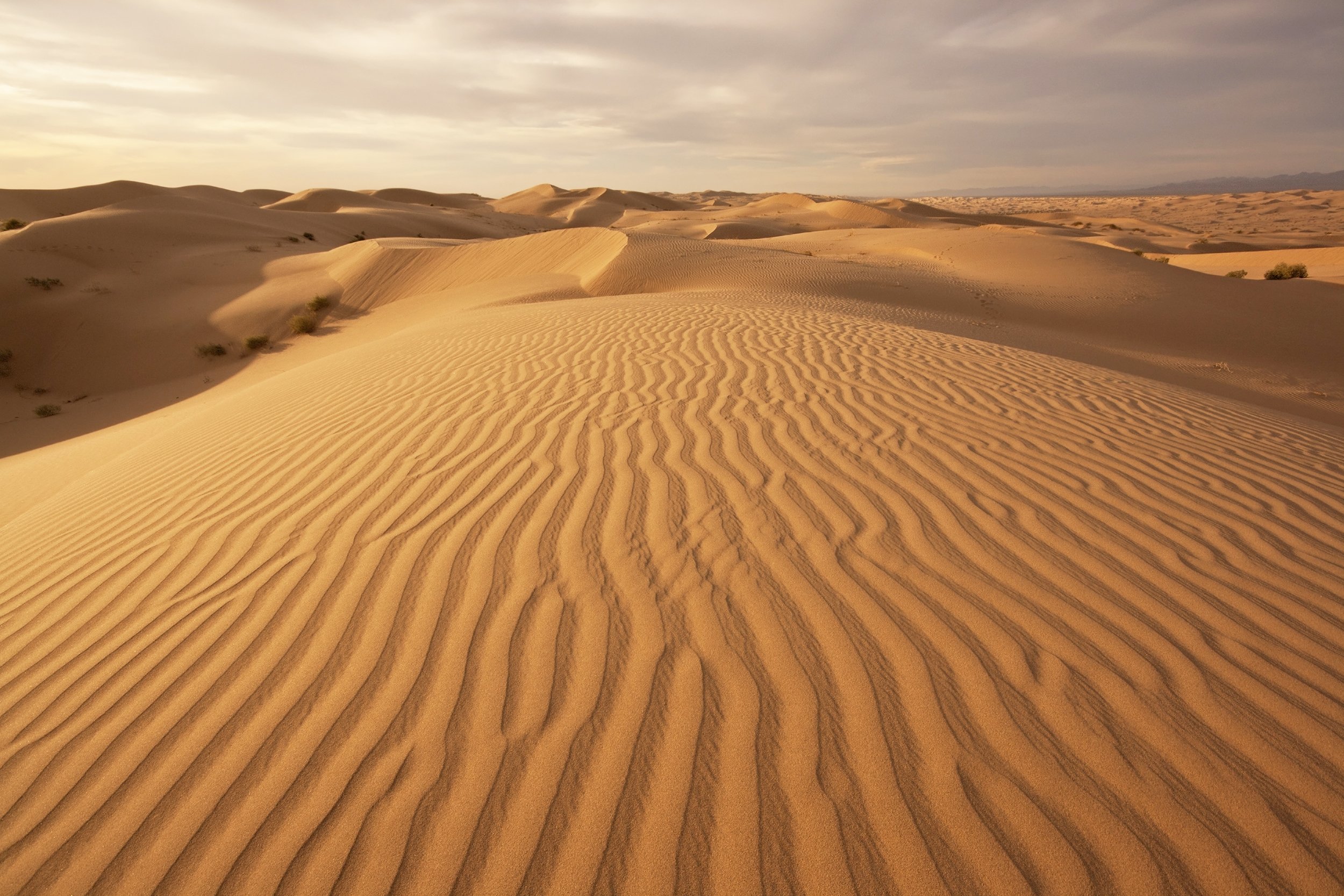 Imperial Sand Dunes near Yuma, Arizona