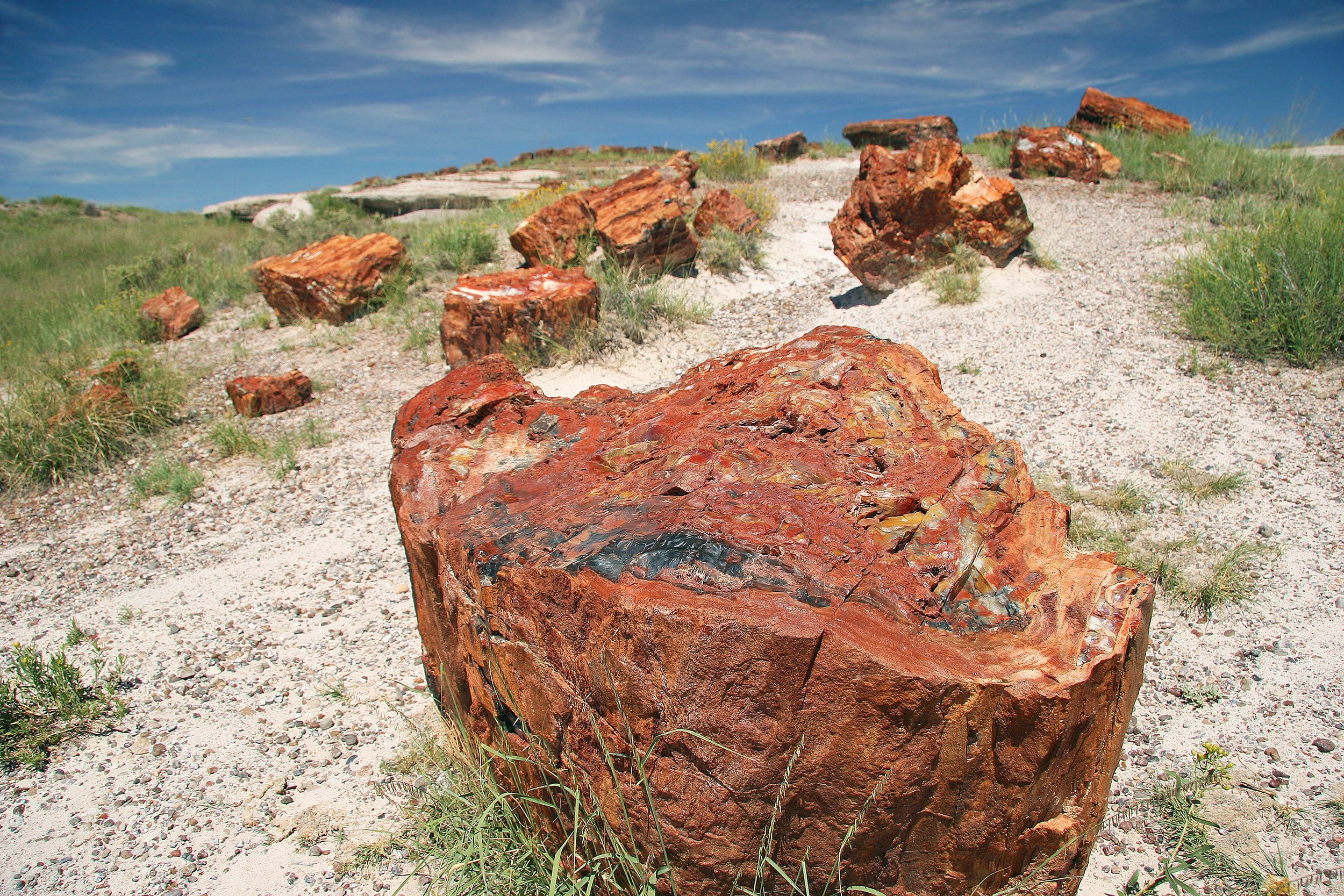 Petrified Forest National Park near Winslow, Arizona