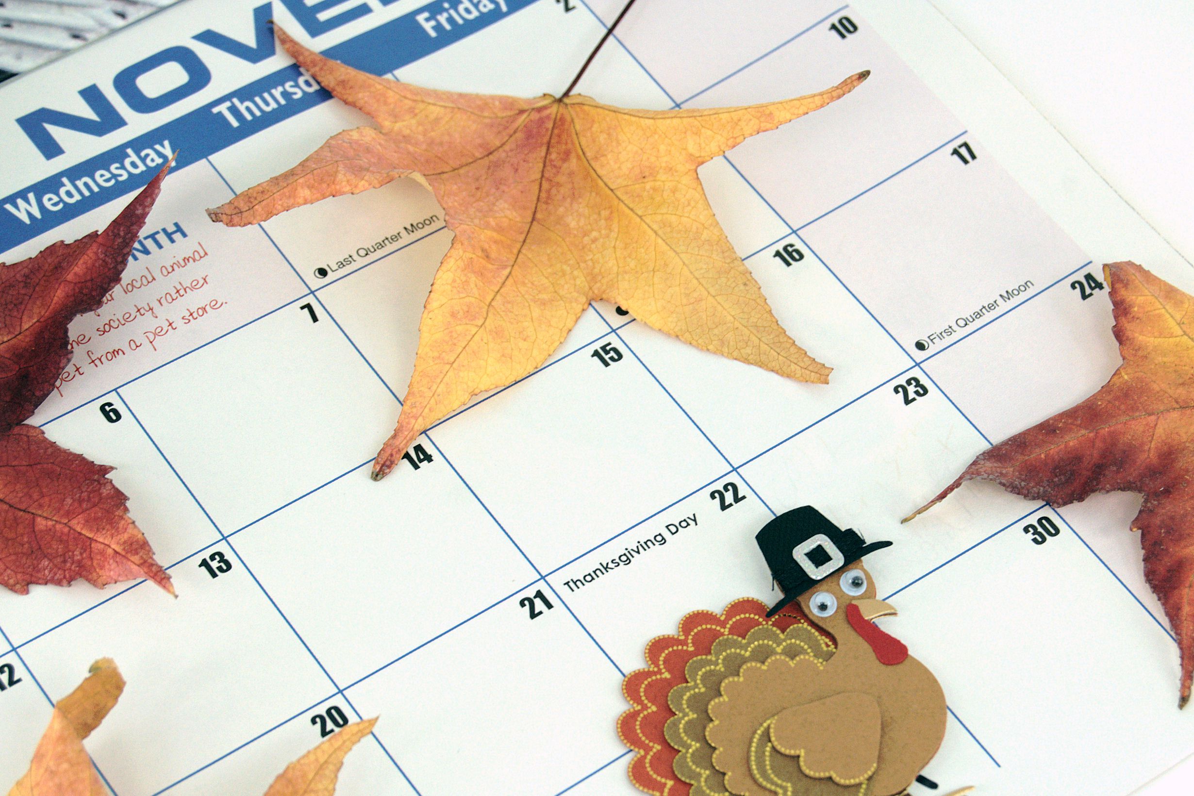 Thanksgiving calendar