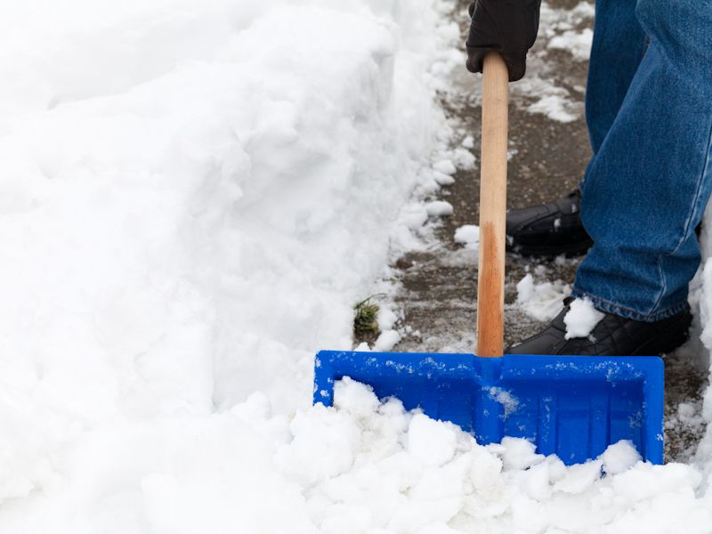 Put Down The Shovel