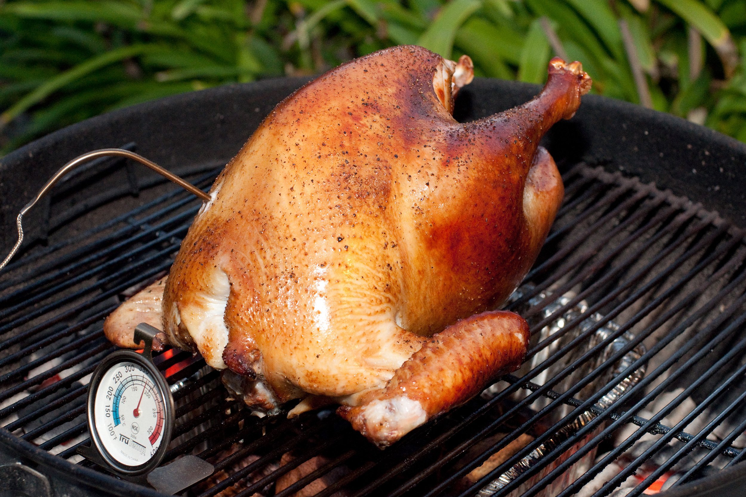 Turkey on the grill