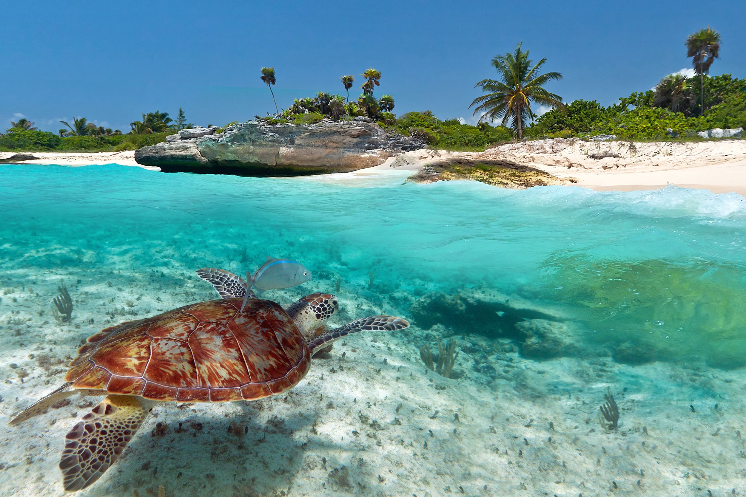 Playa Del Carmen, Mexico