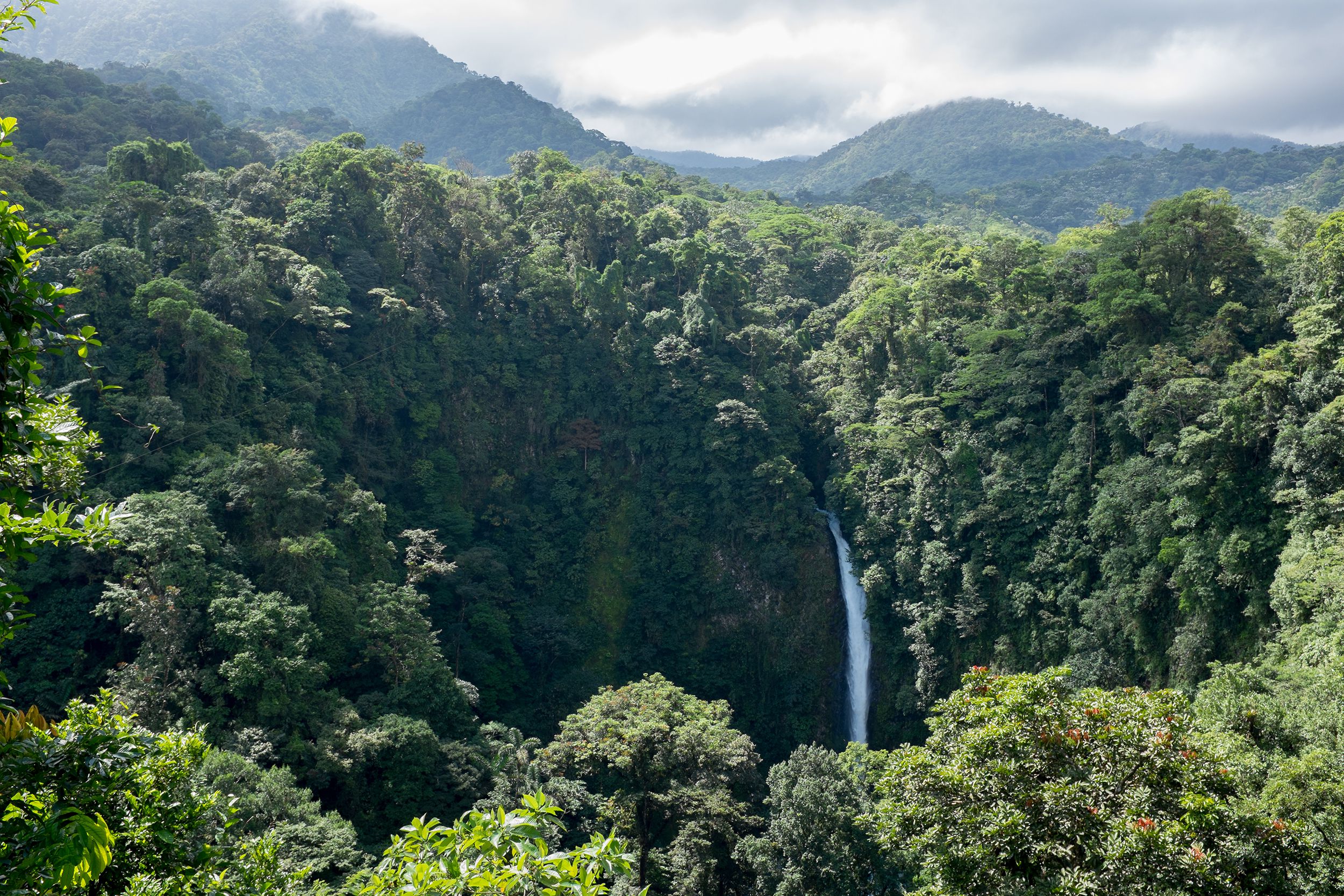 Monteverde, Costa Rica