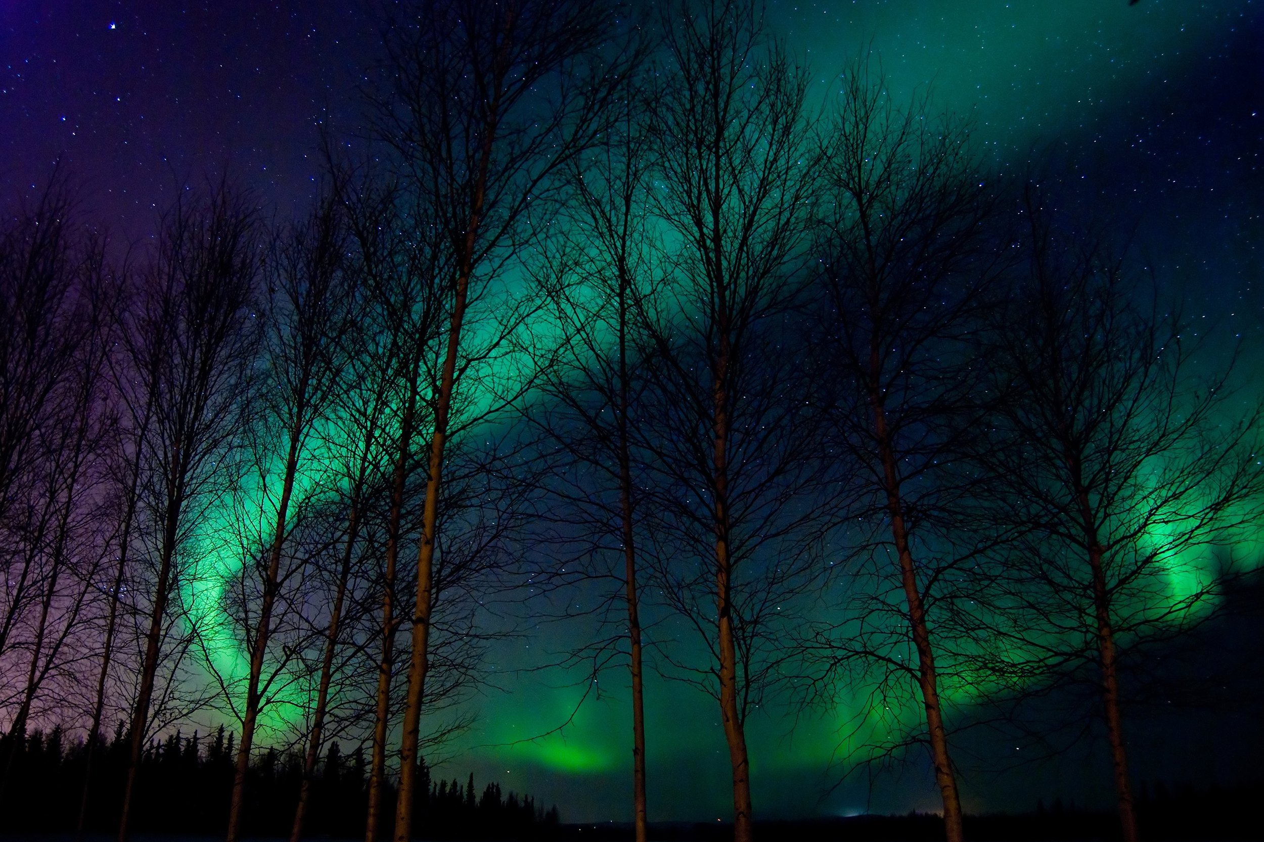 northern lights in Aroostook National Wildlife Refuge, Maine