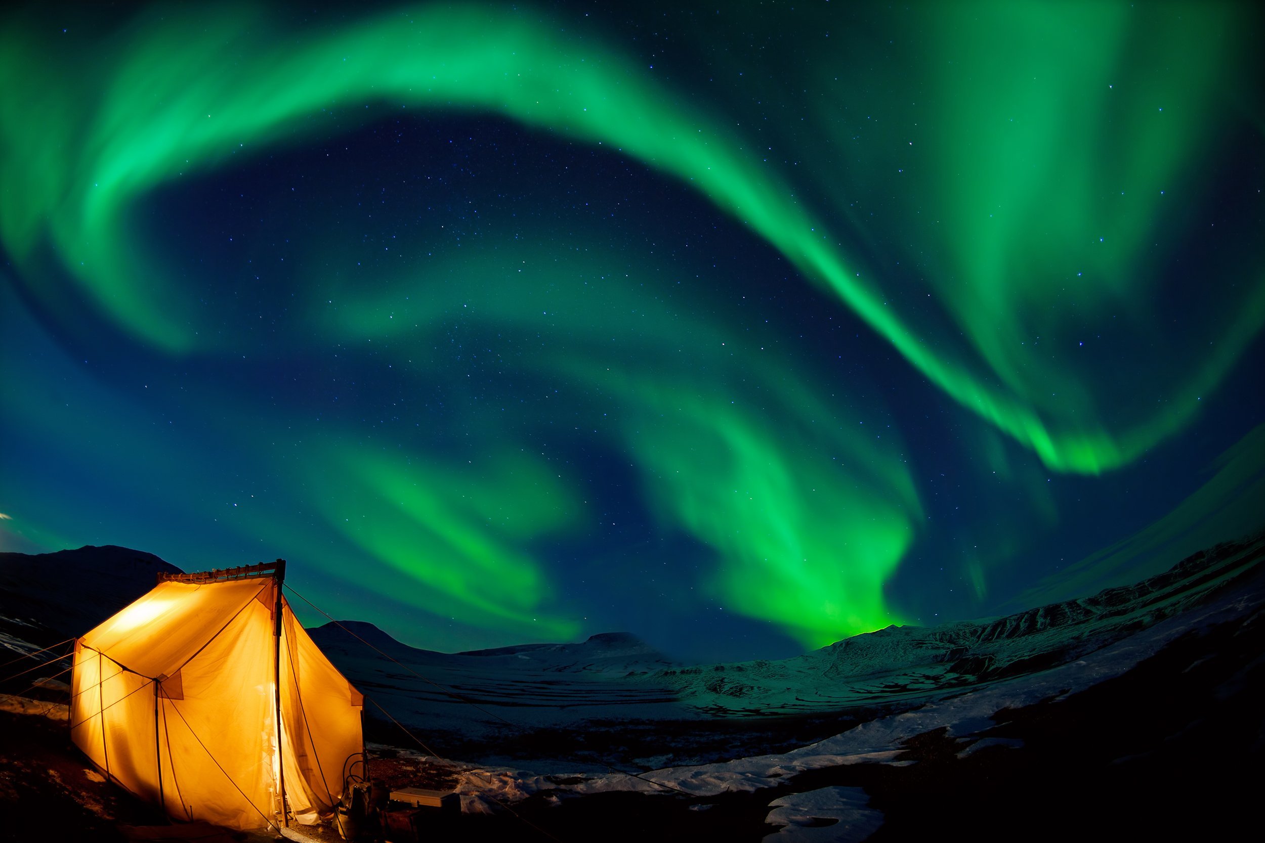 northern lights above Denali National Park, Alaska
