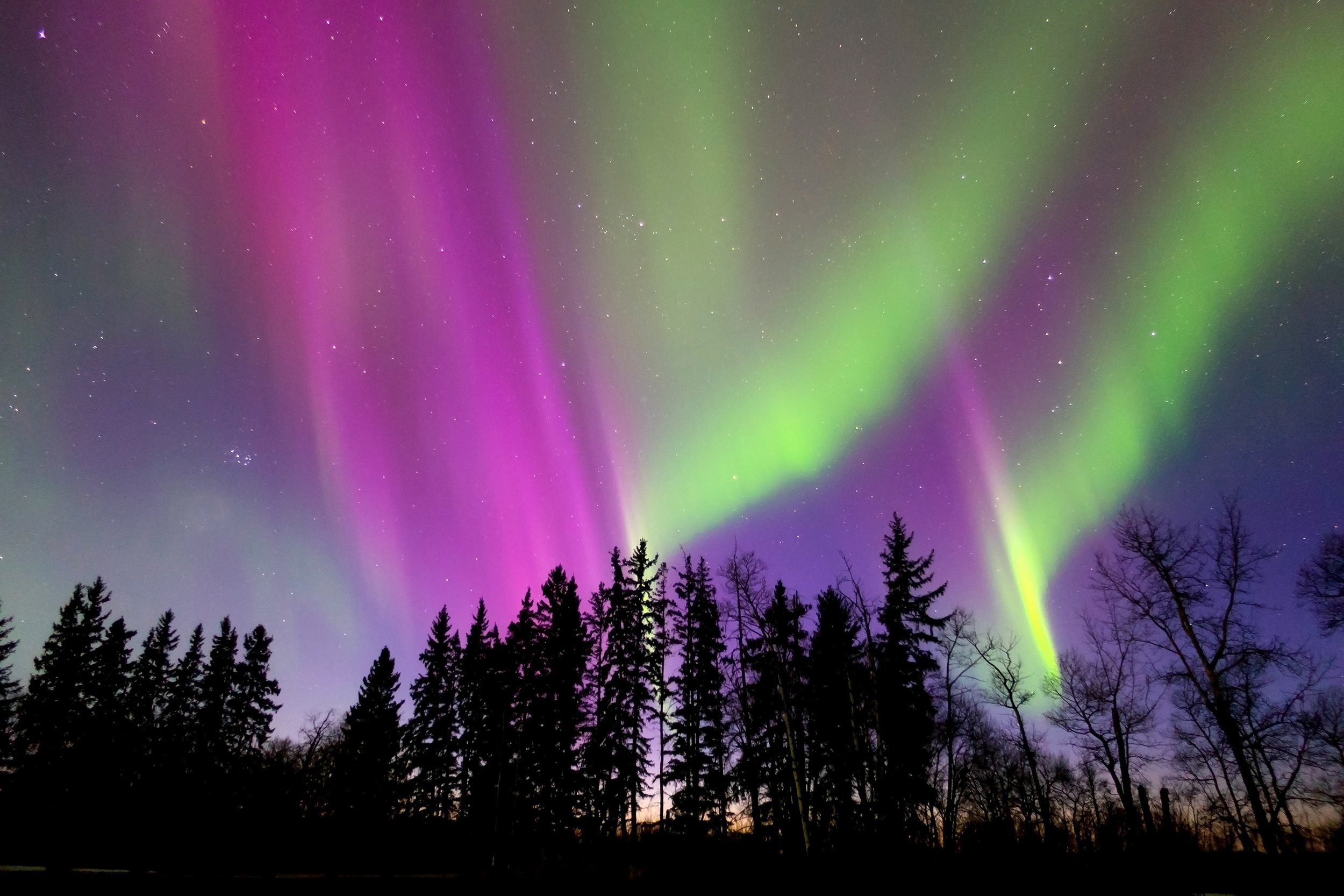 northern lights in Edmonton, Alberta