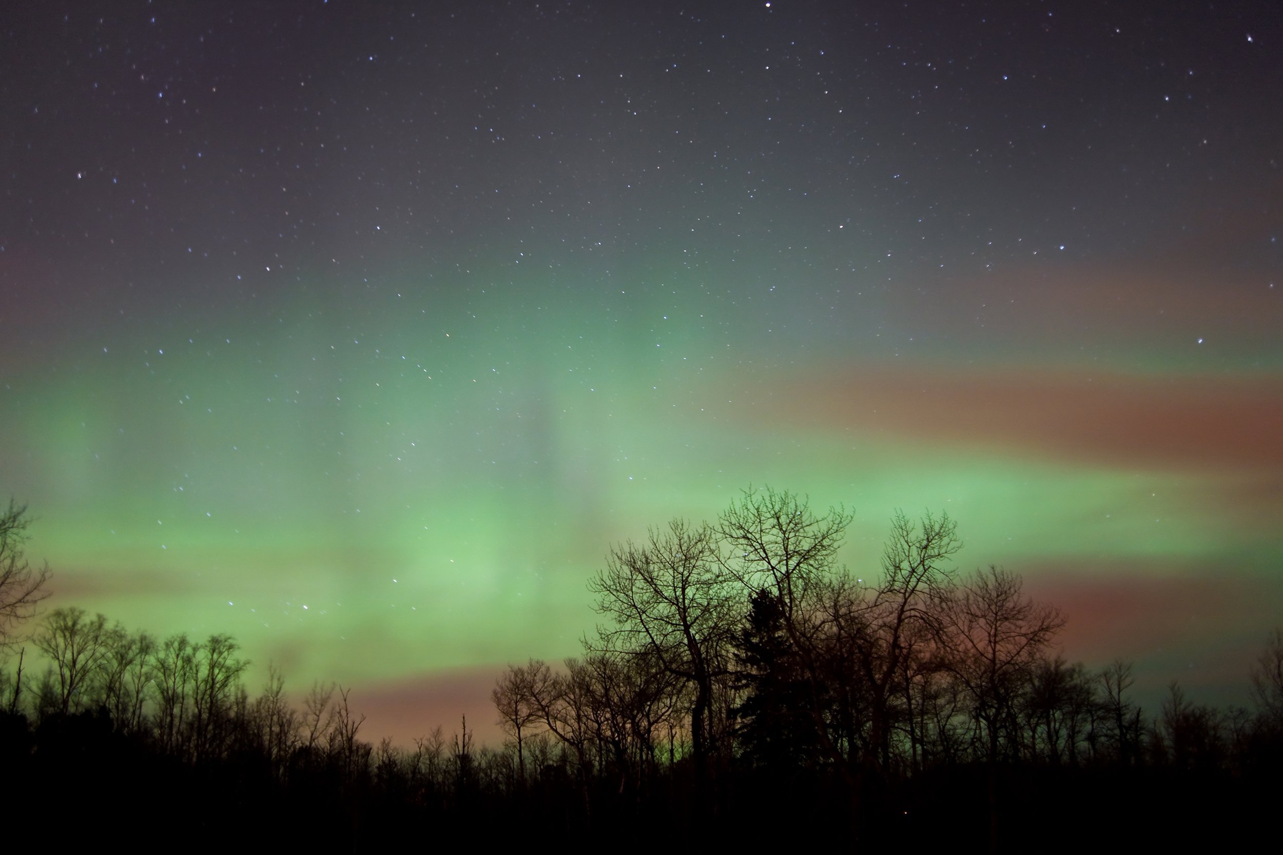 northern lights above Cook County, Minnesota