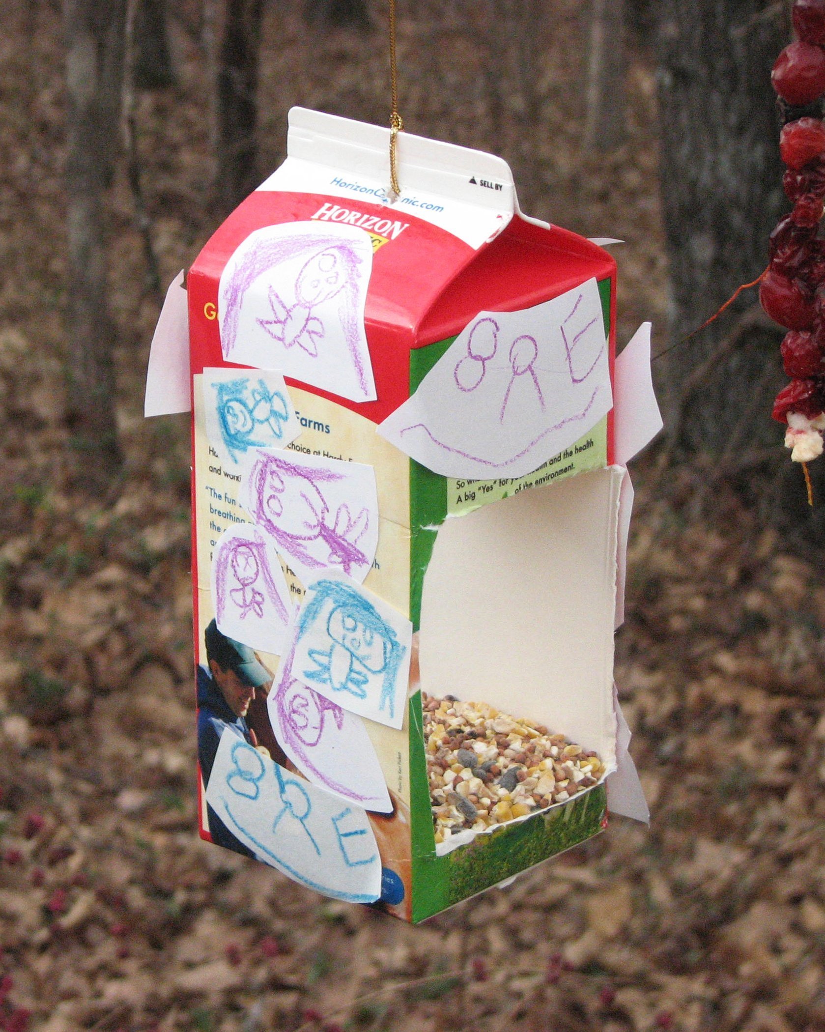 milk carton bird feeder