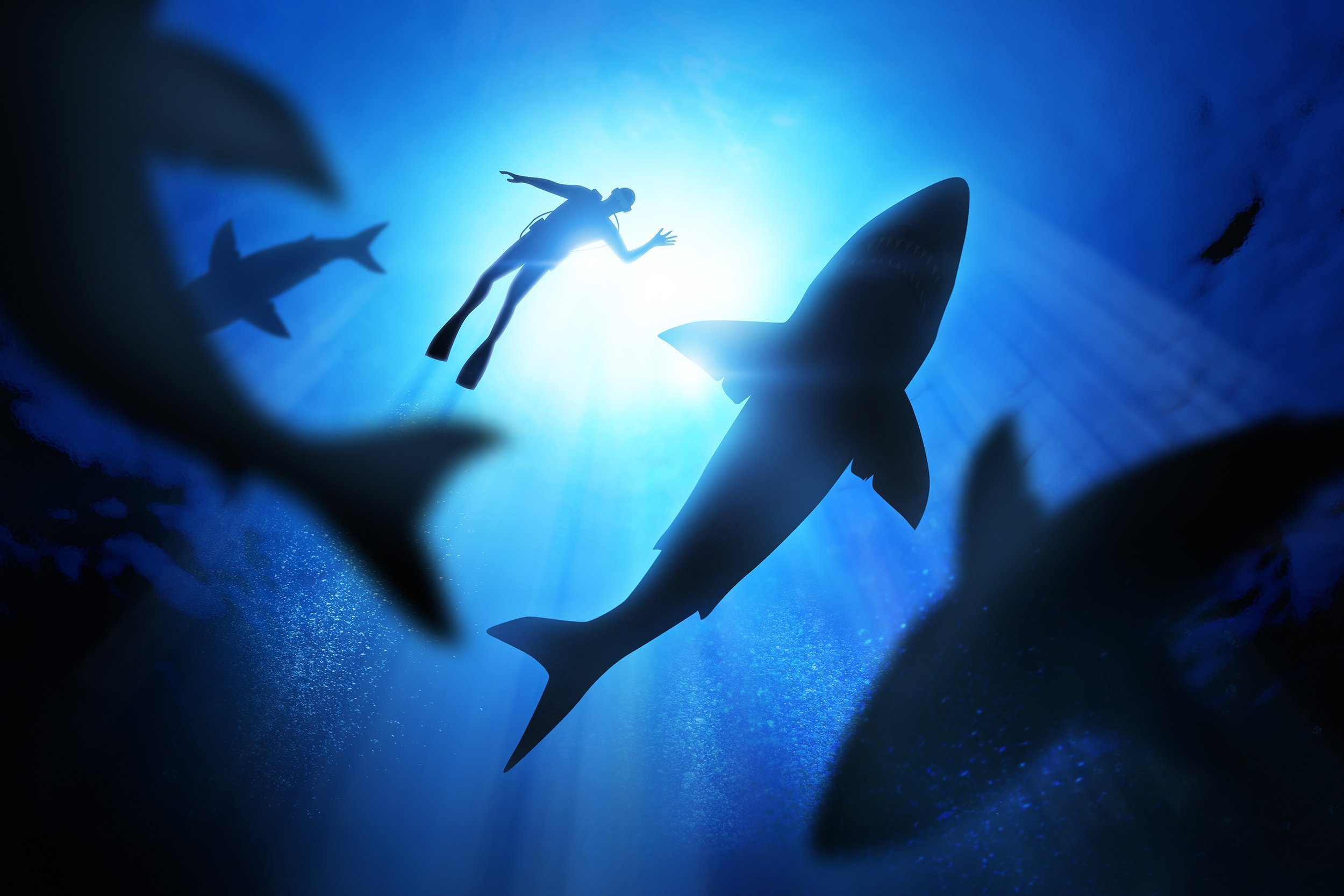 under the waves a diver with sharks
