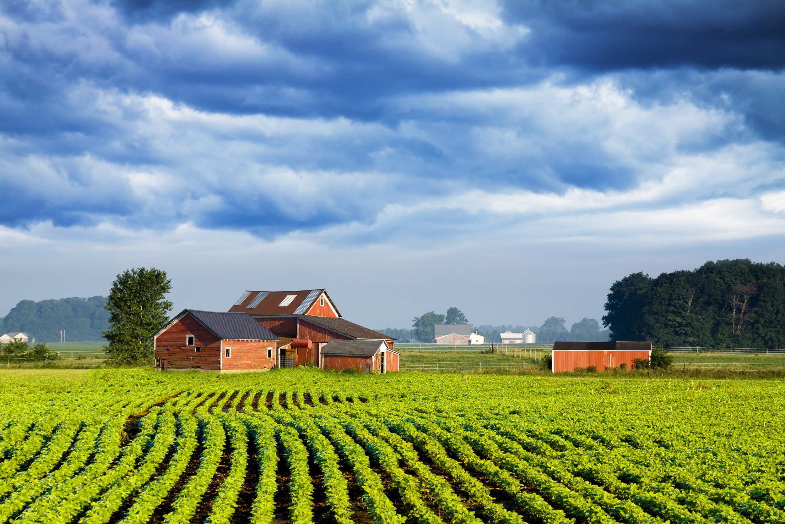 farm in Indiana